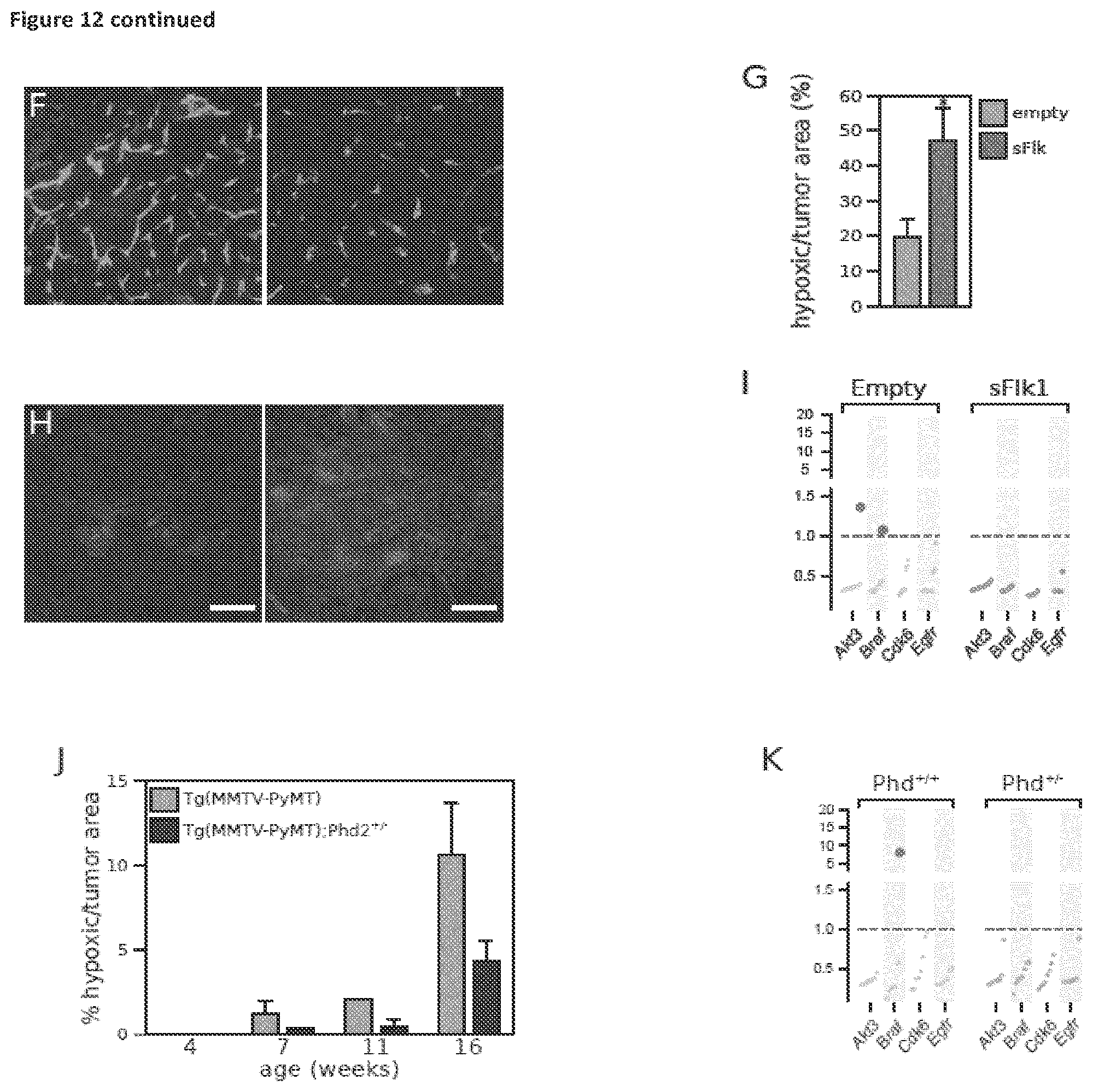 Patent US11814688 Figure 14 – Markers for determining tumor hypoxia