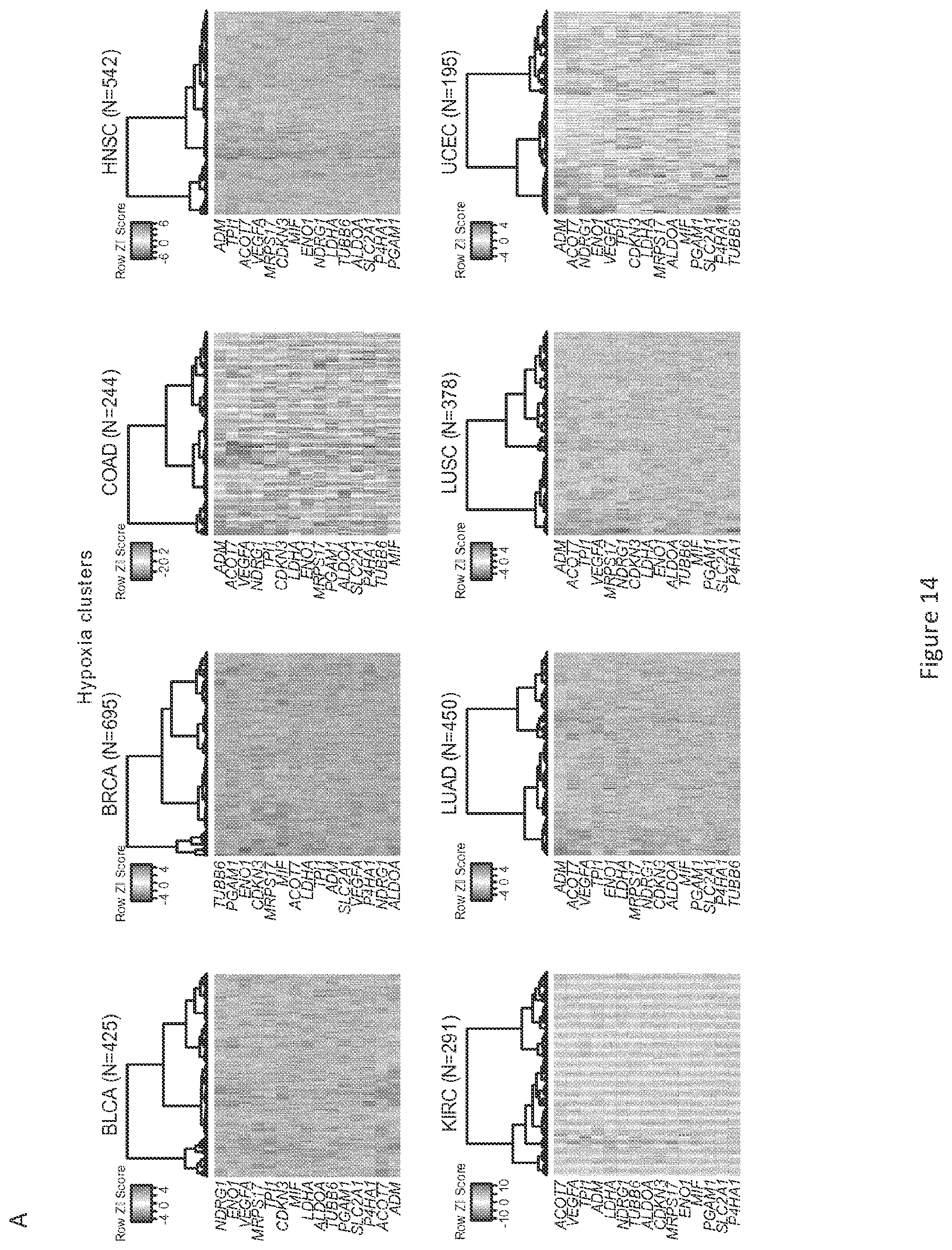Patent US11814688 Figure 18 – Markers for determining tumor hypoxia