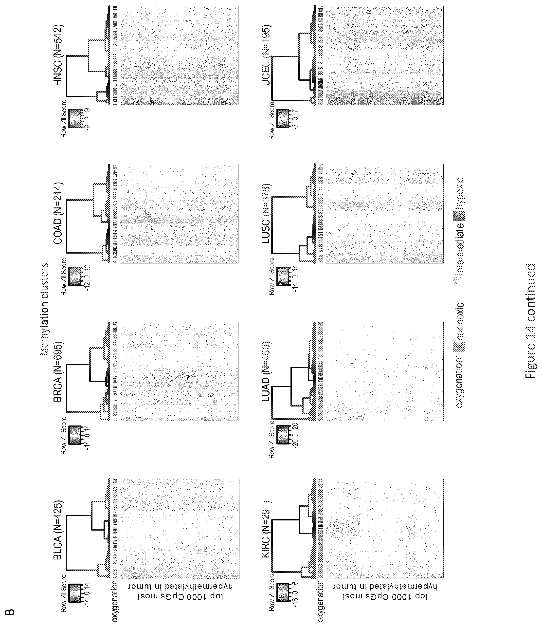 Patent US11814688 Figure 19 – Markers for determining tumor hypoxia