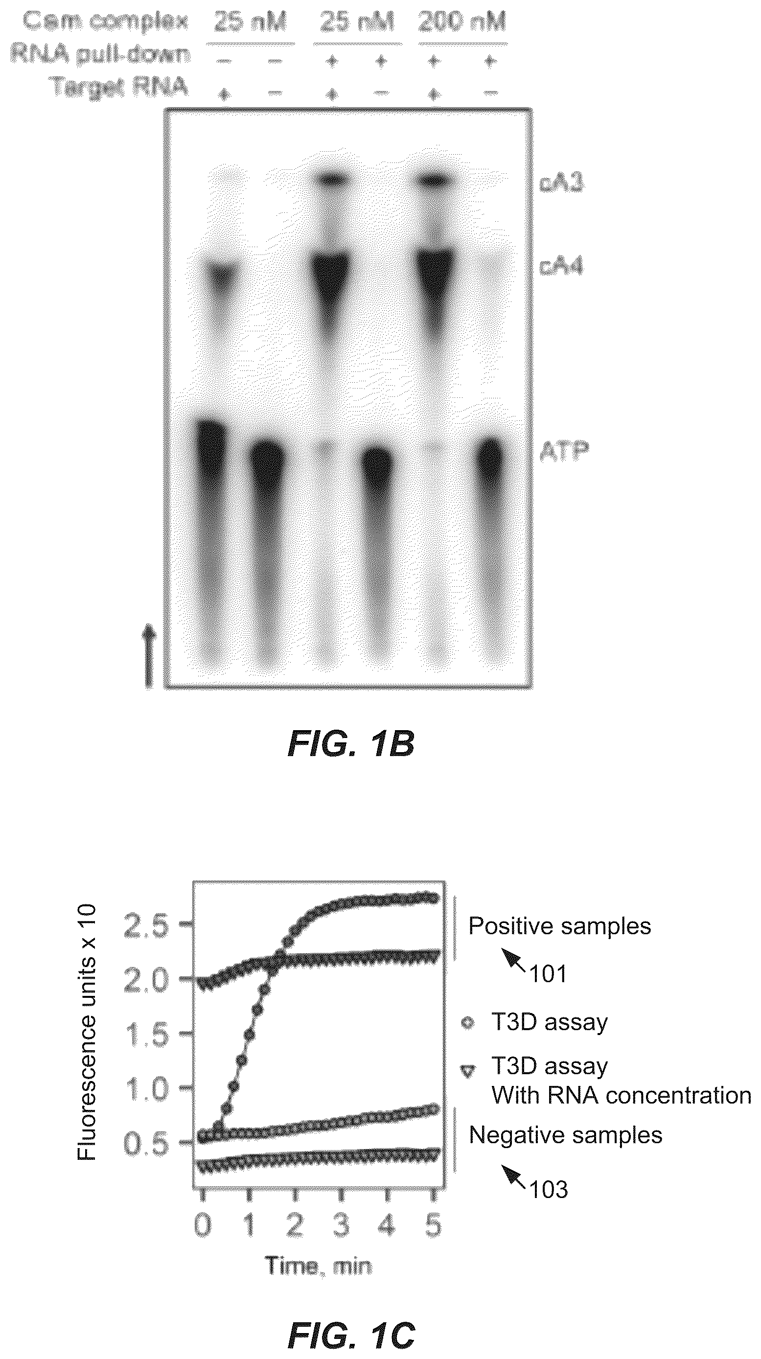 Patent US11814689 Figure 2 – Nucleic acid detection using type III CRISPR complex