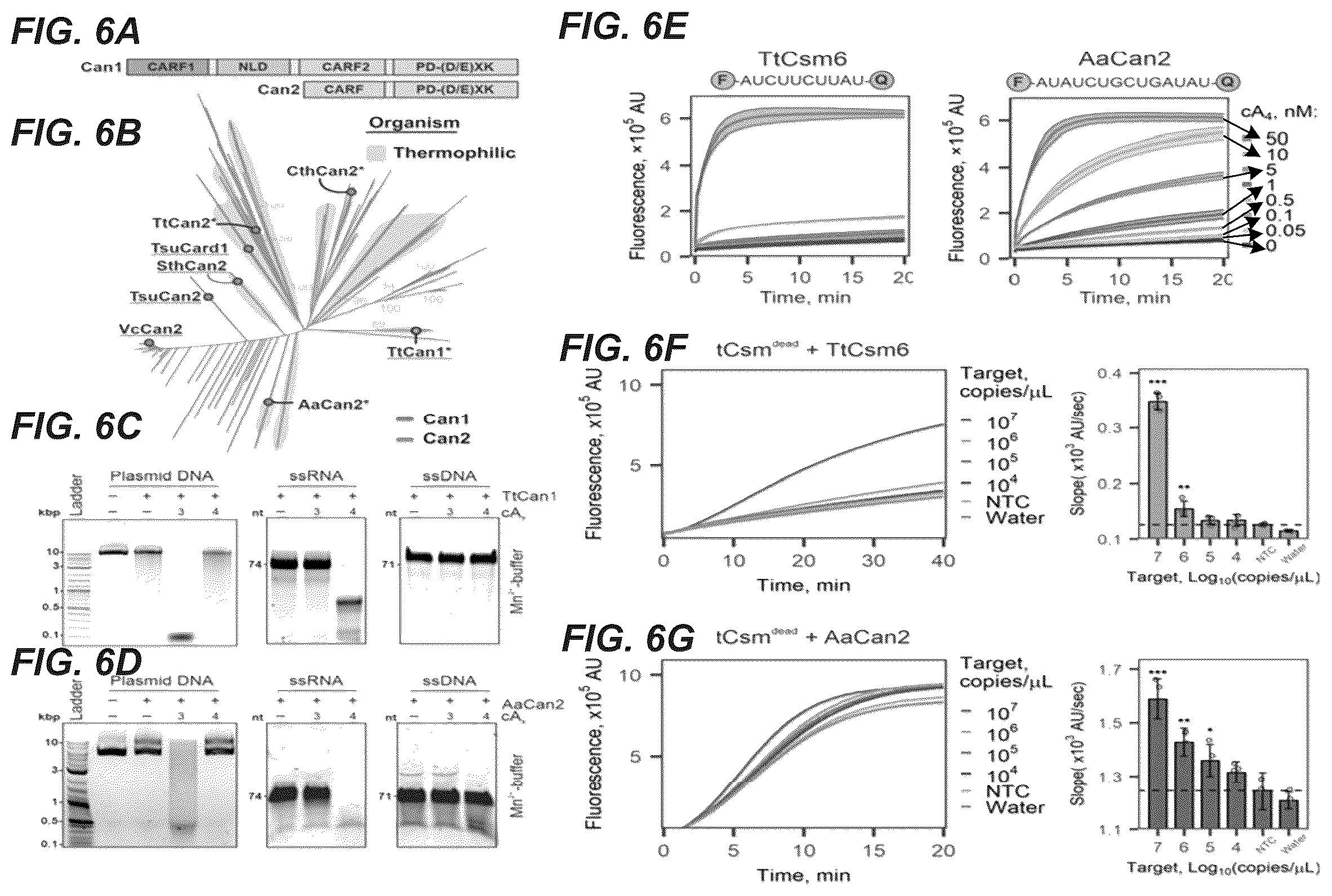 Patent US11814689 Figure 7 – Nucleic acid detection using type III CRISPR complex