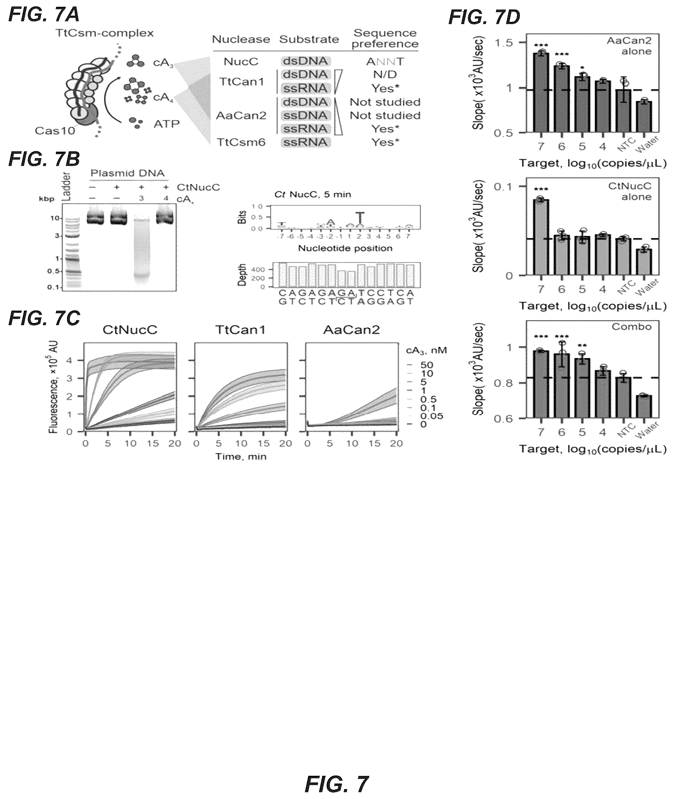 Patent US11814689 Figure 8 – Nucleic acid detection using type III CRISPR complex