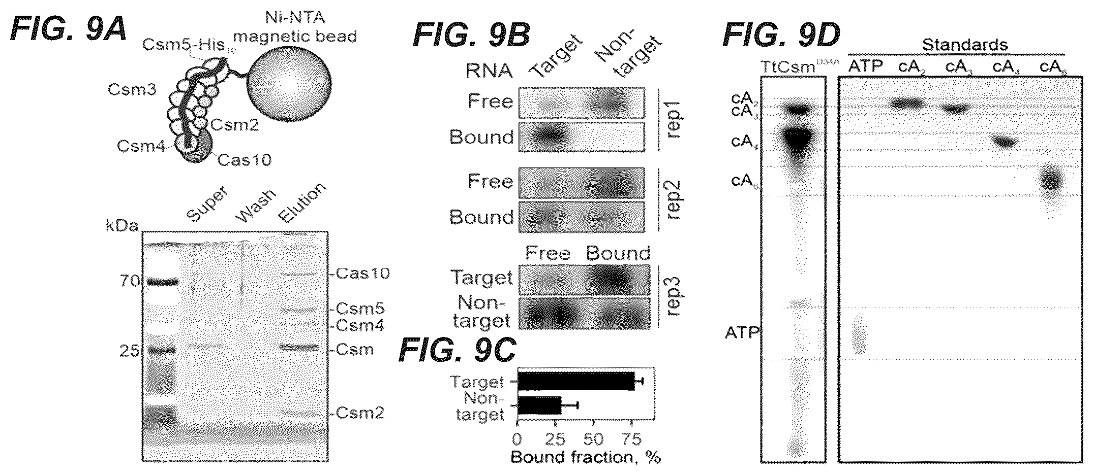 Patent US11814689 Figure 10 – Nucleic acid detection using type III CRISPR complex