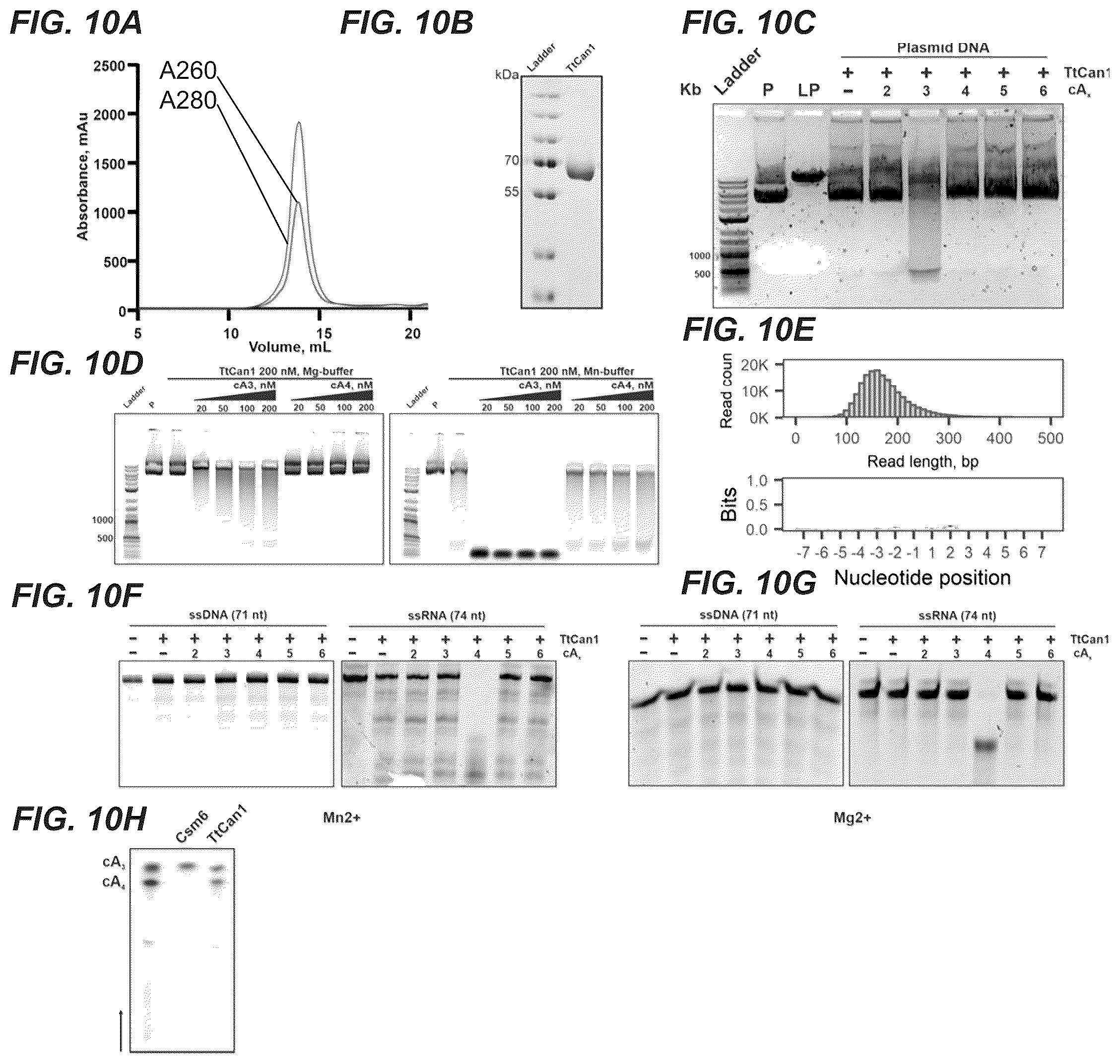 Patent US11814689 Figure 11 – Nucleic acid detection using type III CRISPR complex