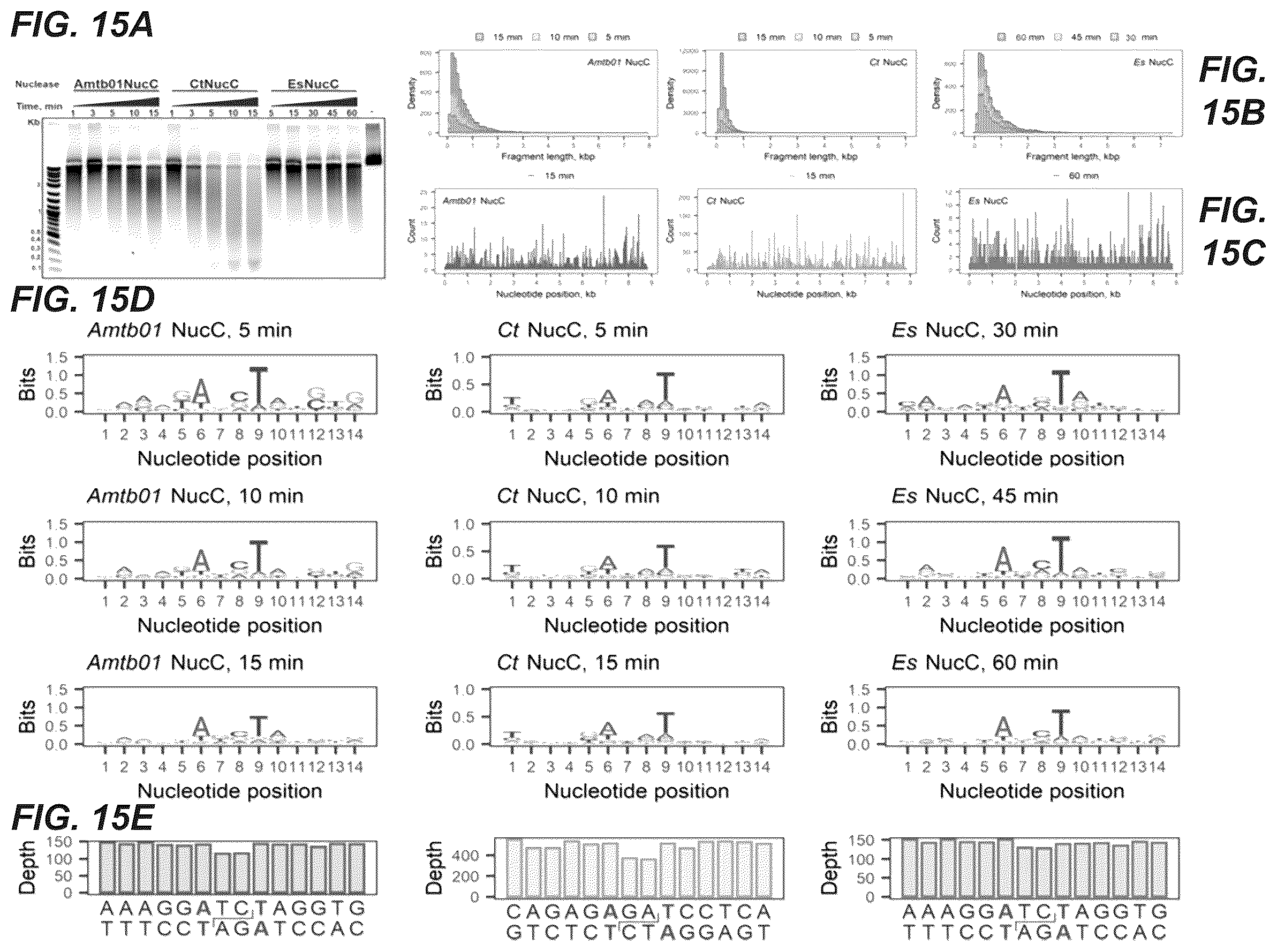Patent US11814689 Figure 16 – Nucleic acid detection using type III CRISPR complex