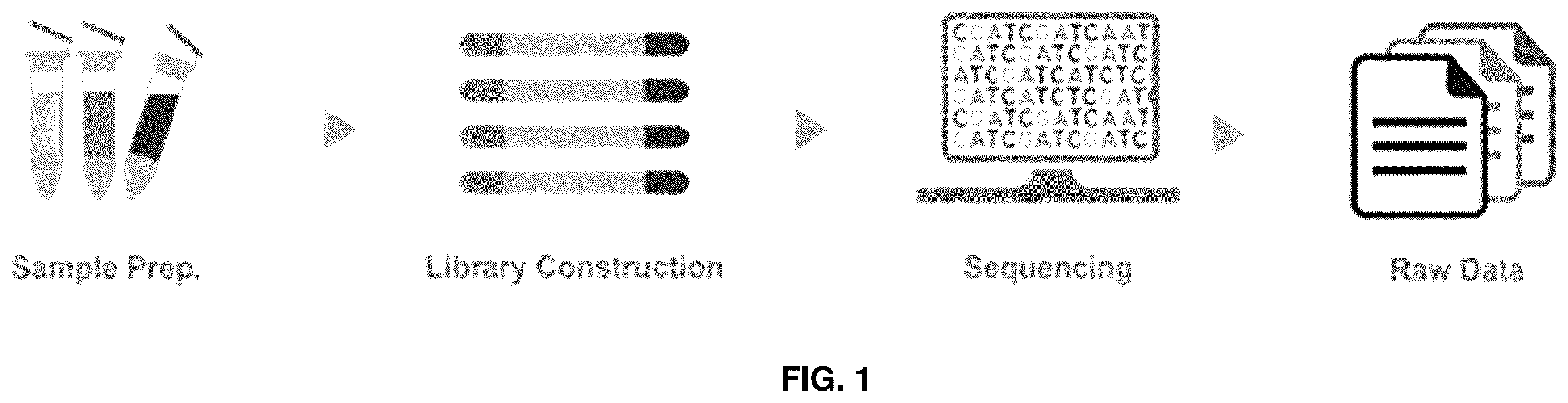 Patent US11814690 Figure 1 – Probe for detecting hepatitis b virus and use thereof
