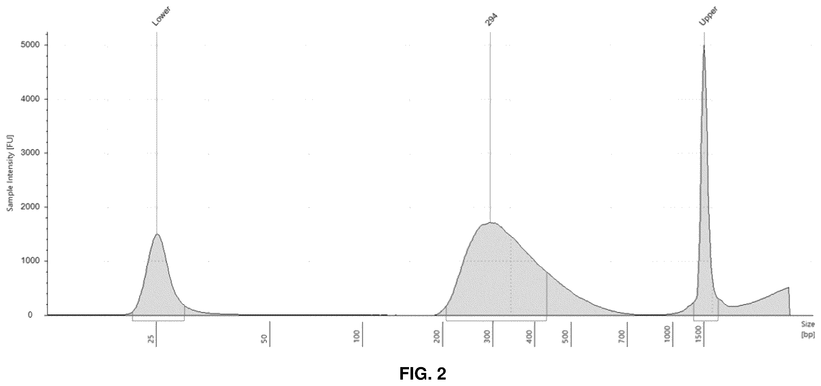 Patent US11814690 Figure 2 – Probe for detecting hepatitis b virus and use thereof