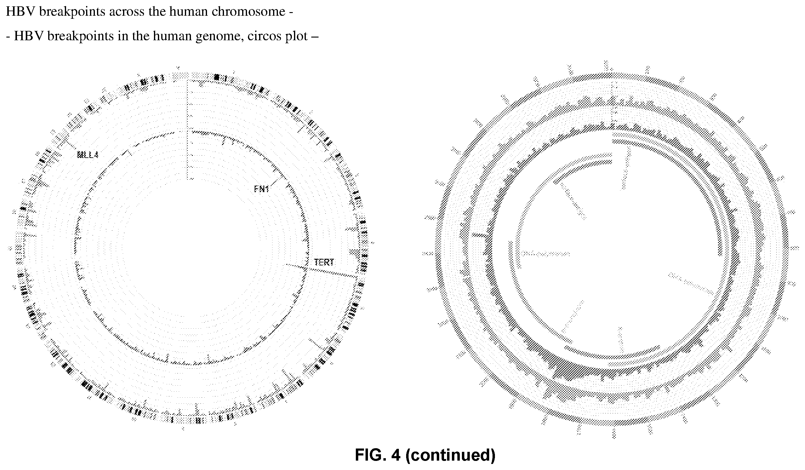Patent US11814690 Figure 5 – Probe for detecting hepatitis b virus and use thereof