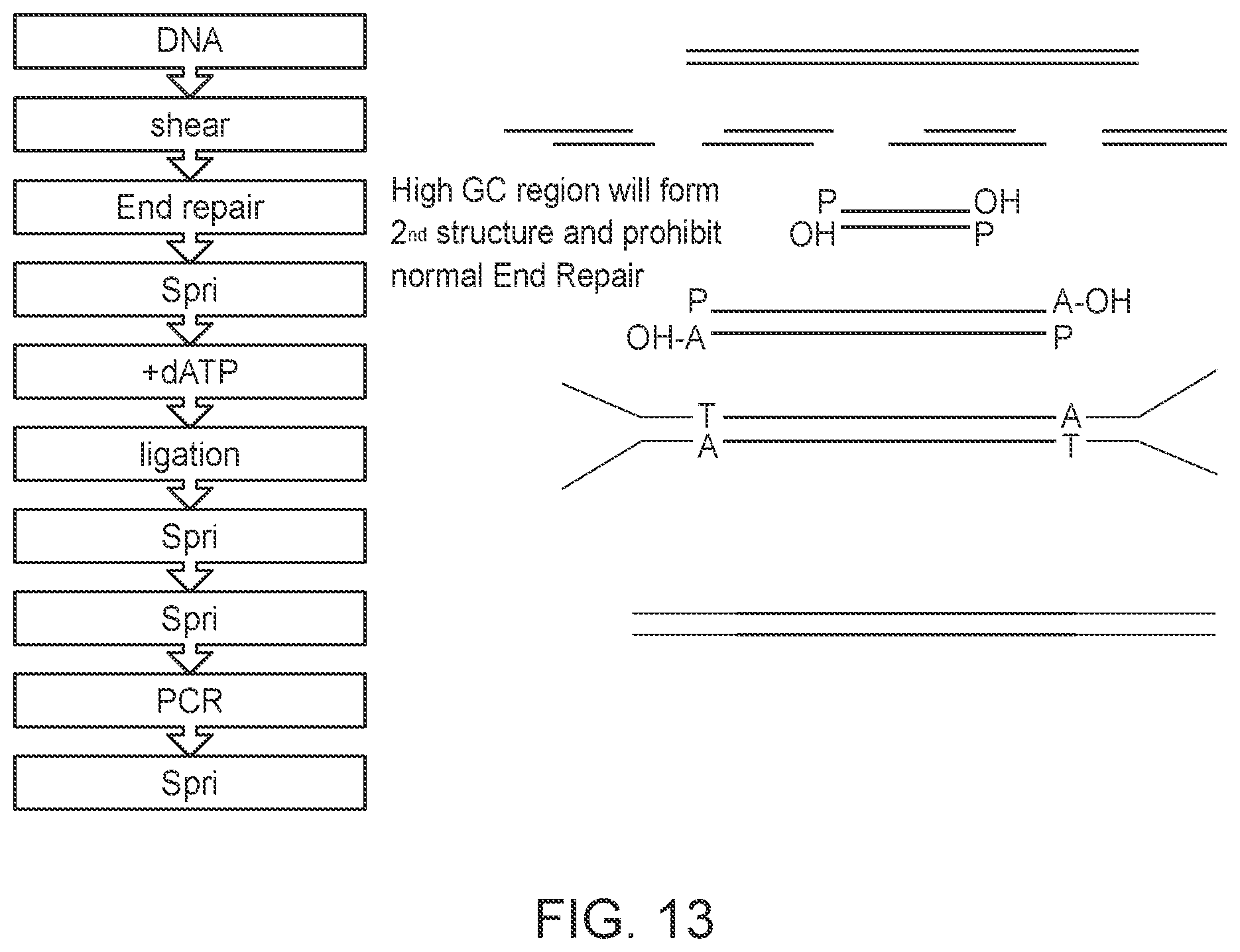 Patent US11814750 Figure 13 – Compositions, methods and systems for processing or analyzing multi-species nucleic acid samples