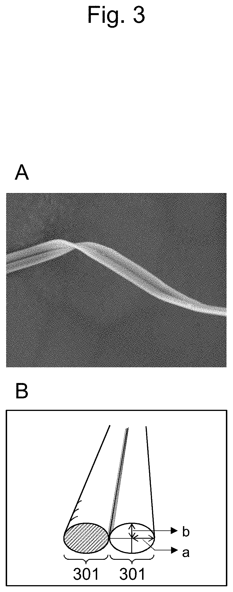 Patent US11814751 Figure 3 – Method for producing long bagworm silk threads and production device therefor