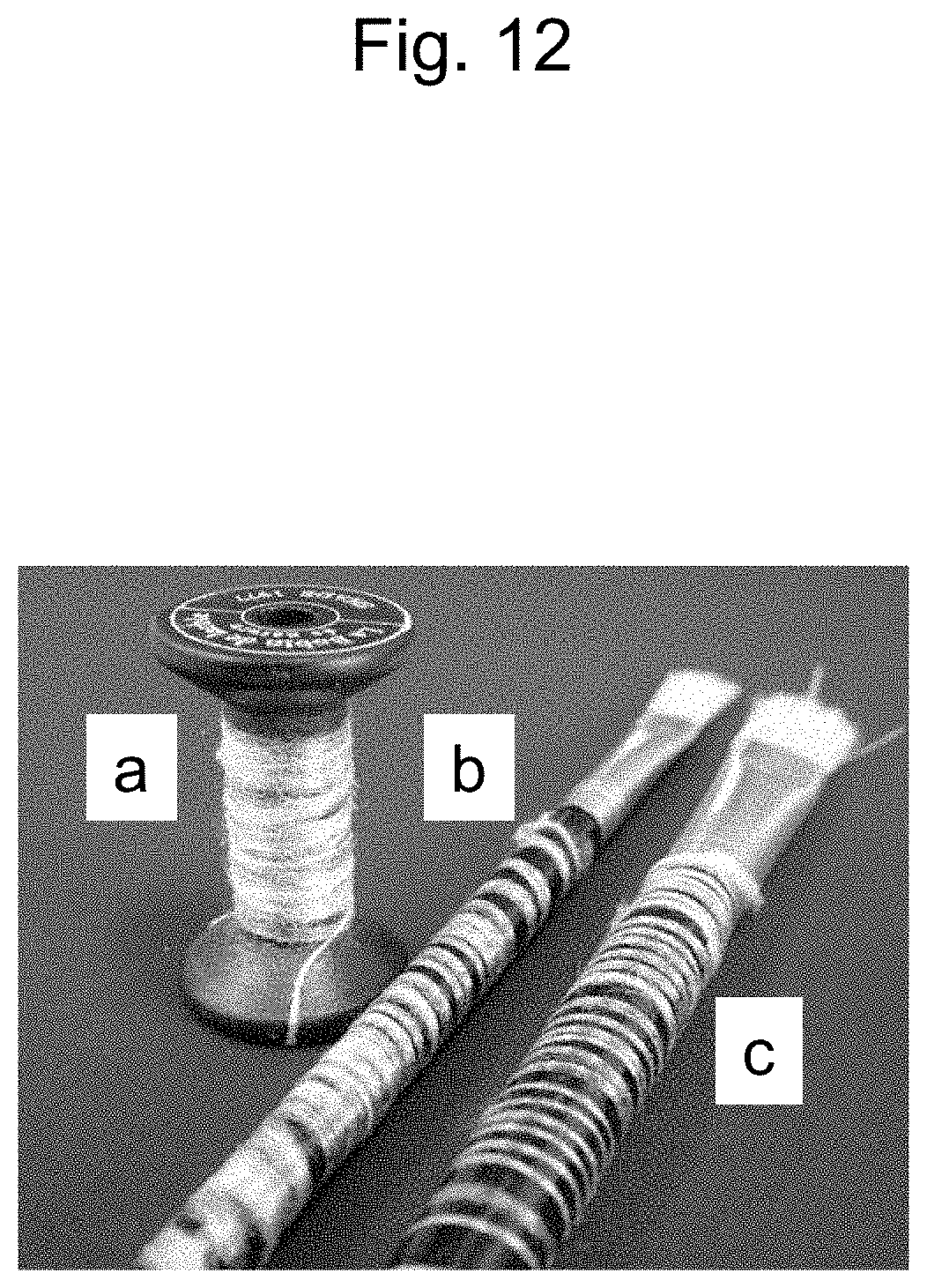 Patent US11814751 Figure 12 – Method for producing long bagworm silk threads and production device therefor