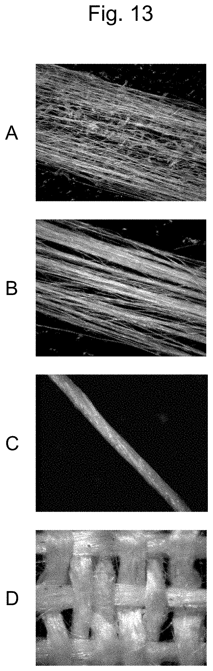 Patent US11814751 Figure 13 – Method for producing long bagworm silk threads and production device therefor