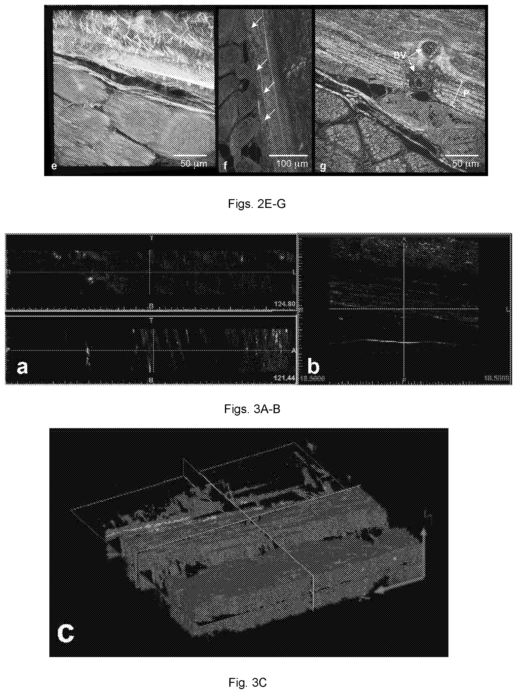 Patent US11814757 Figure 3 – Engineered materials and methods of forming