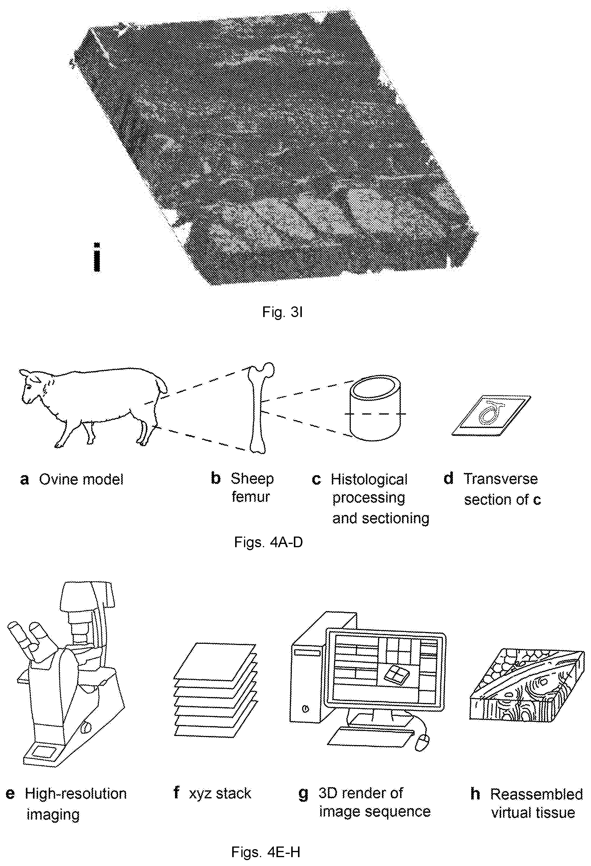 Patent US11814757 Figure 6 – Engineered materials and methods of forming