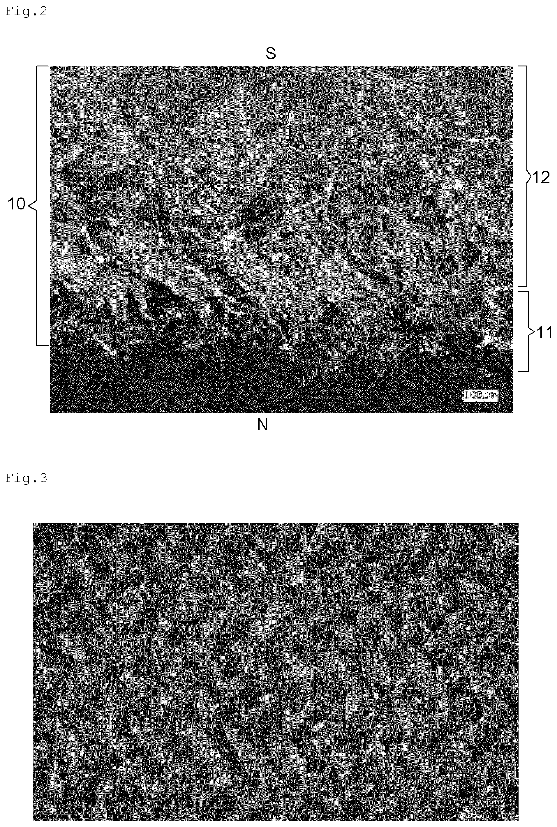 Patent US11814783 Figure 2 – Synthetic leather