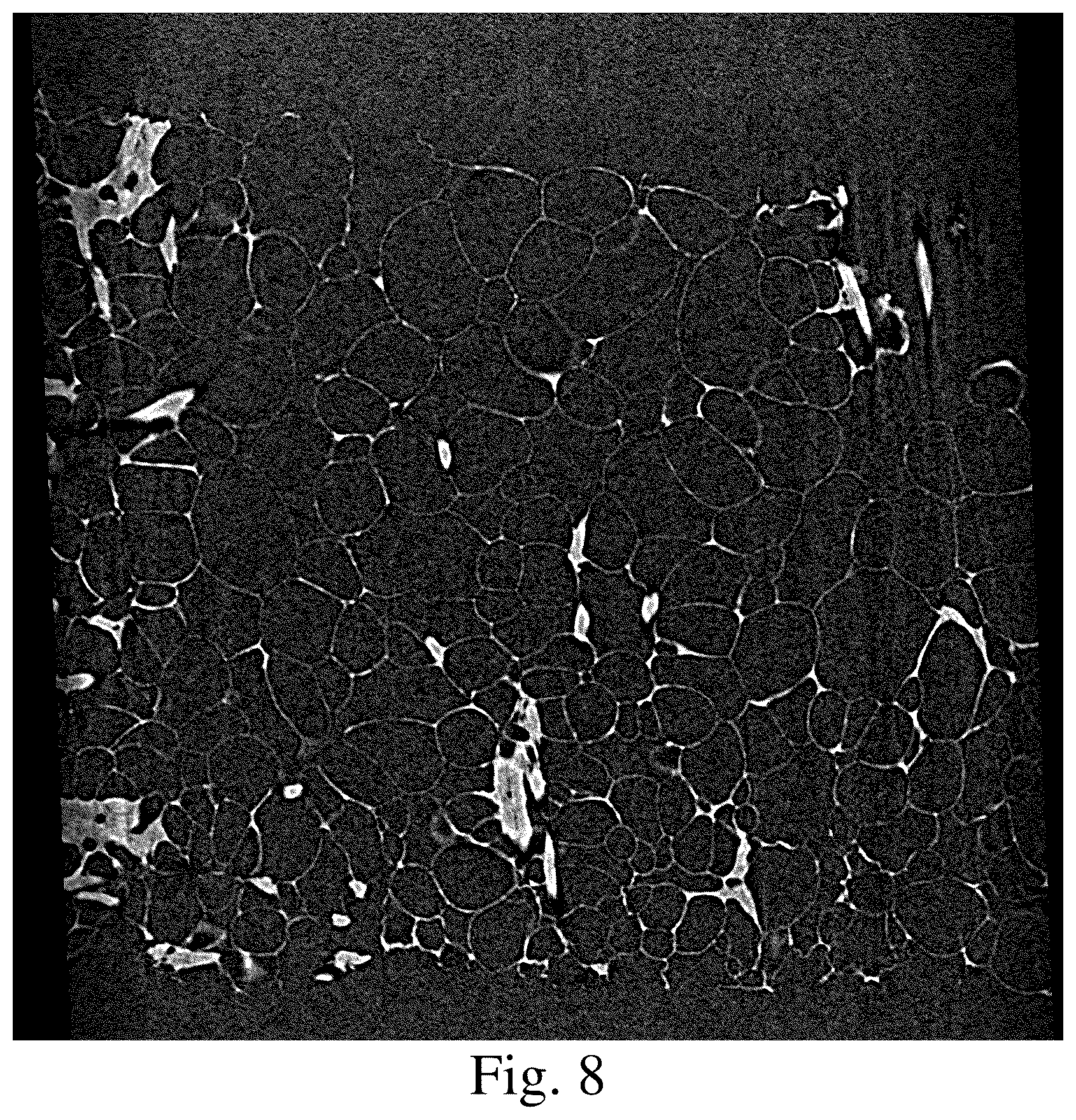 Patent US11814784 Figure 5 – Closed porous composite material, thermal insulation material, sound insulation material, and manufacturing method thereof