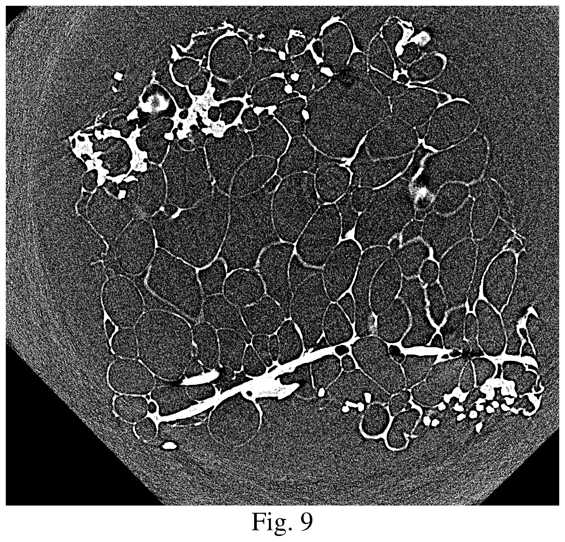 Patent US11814784 Figure 6 – Closed porous composite material, thermal insulation material, sound insulation material, and manufacturing method thereof
