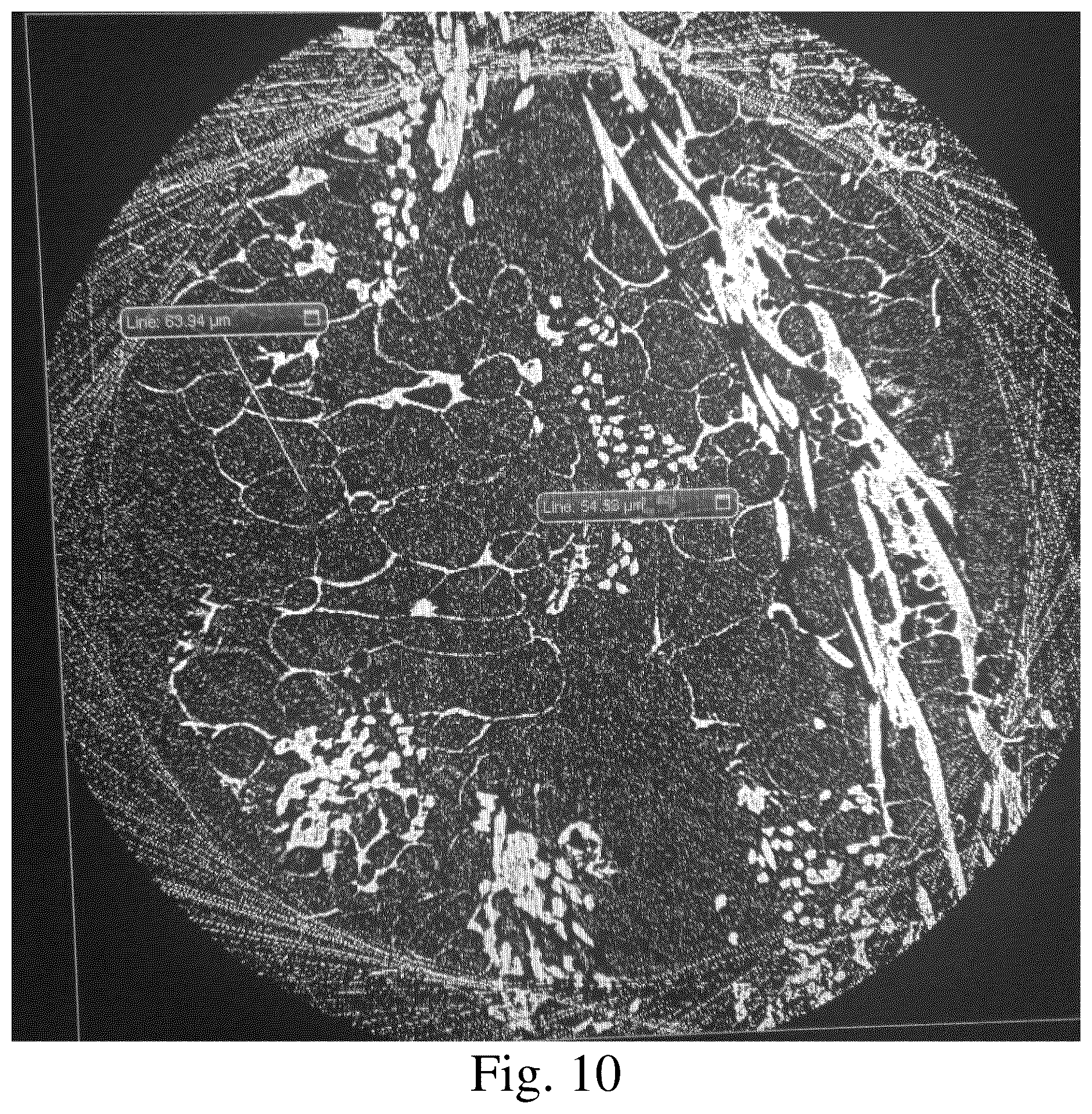 Patent US11814784 Figure 7 – Closed porous composite material, thermal insulation material, sound insulation material, and manufacturing method thereof