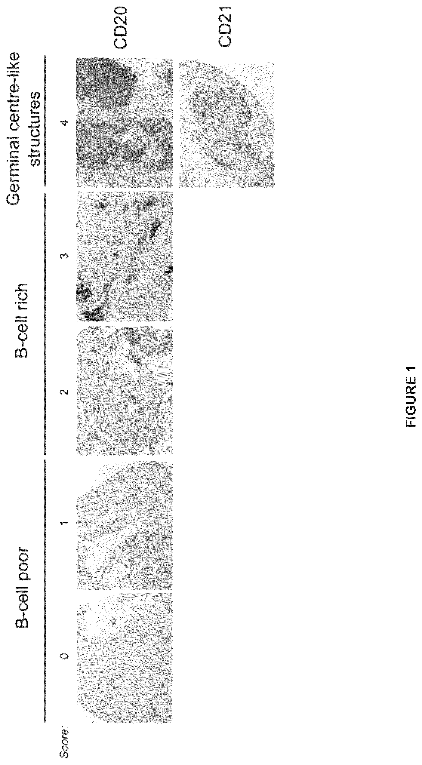 Patent US11815434 — Method for treating rheumatoid arthritis — Figure 1