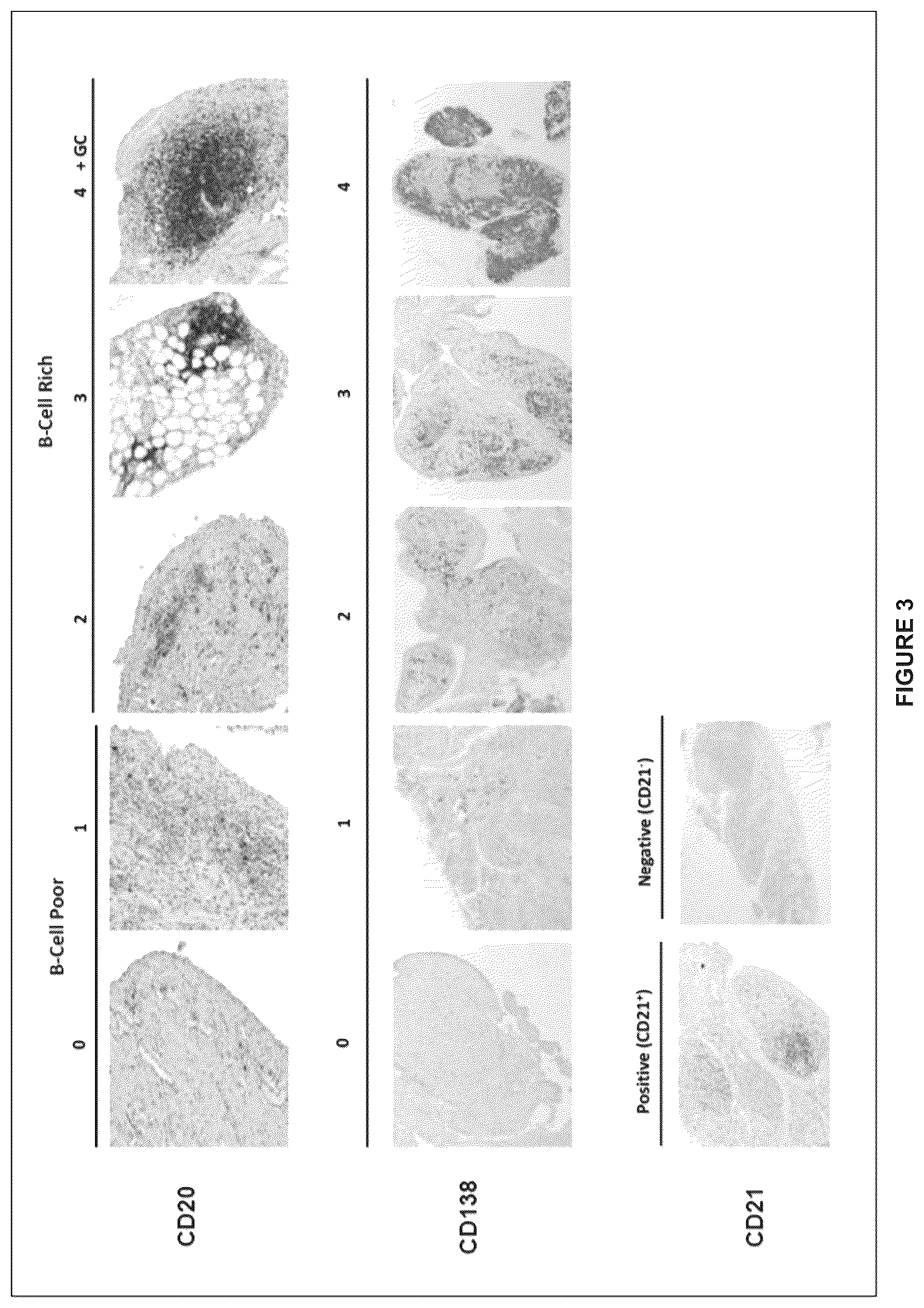 Patent US11815434 Figure 3 – Method for treating rheumatoid arthritis
