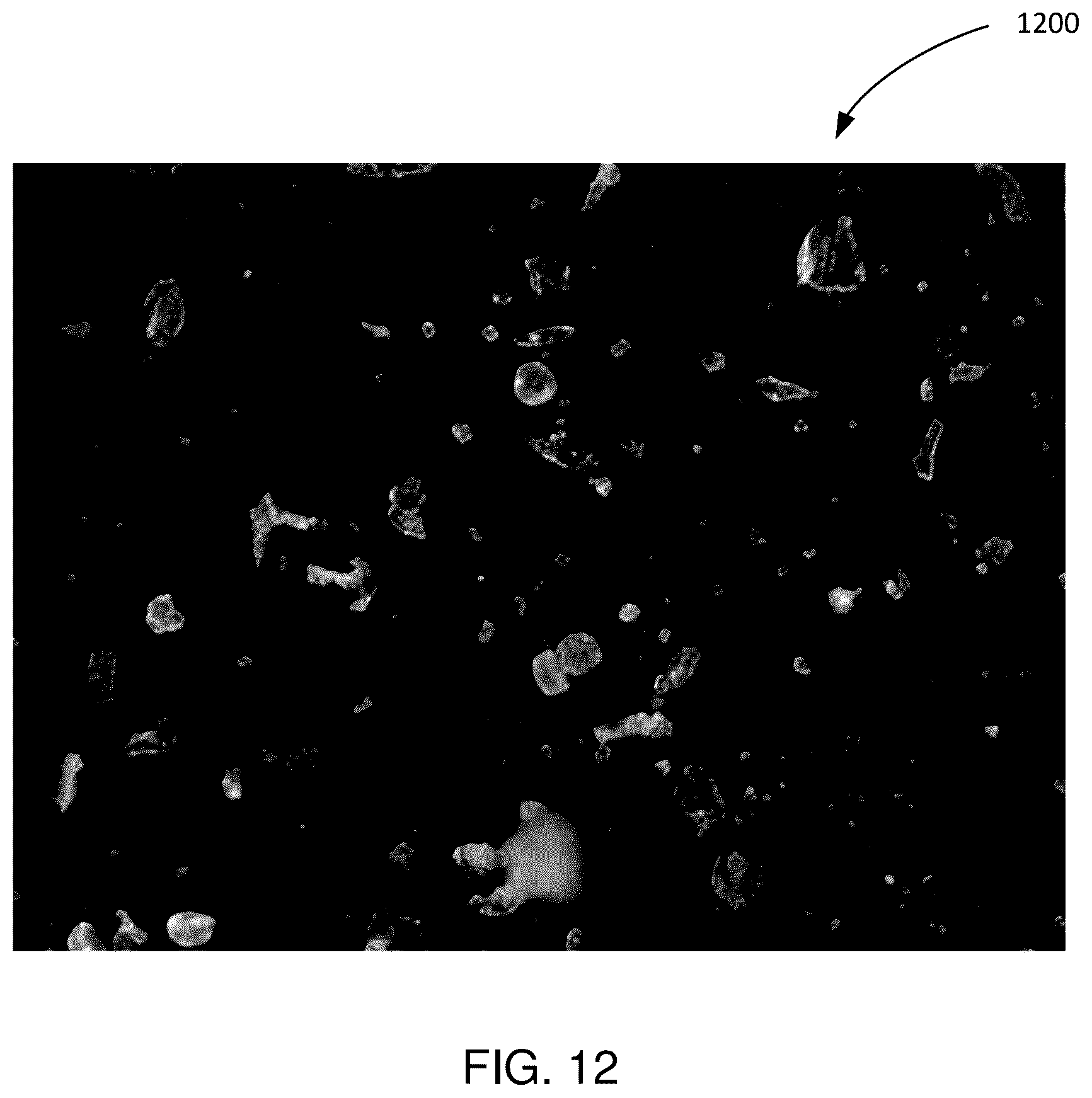 Patent US11815441 Figure 11 – Particulate matter imaging, identification, and analysis systems and methods