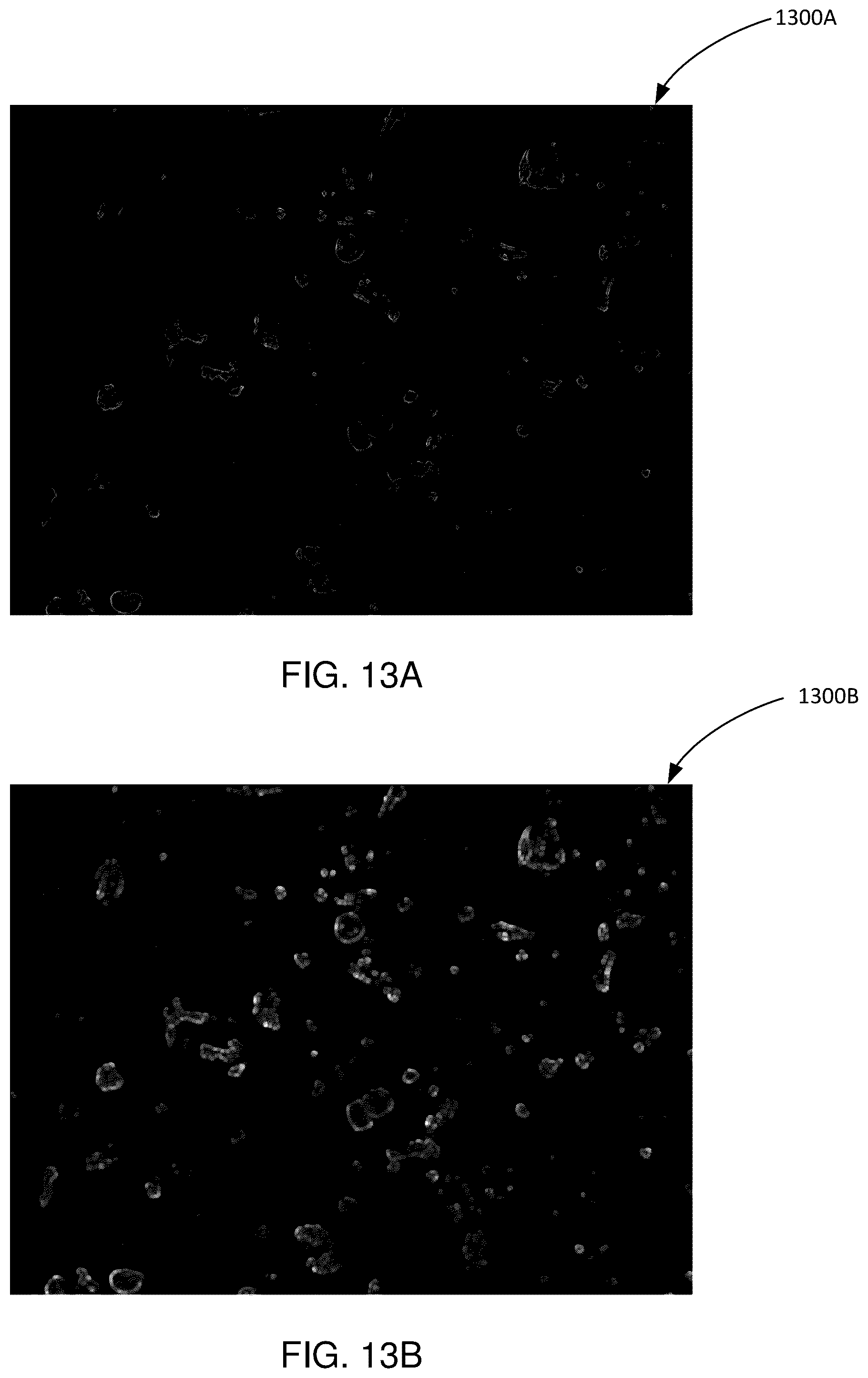 Patent US11815441 Figure 12 – Particulate matter imaging, identification, and analysis systems and methods