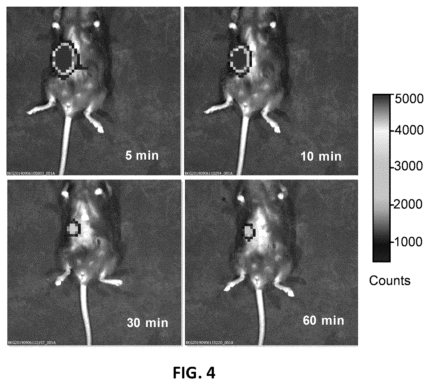 Patent US11815457 Figure 4 – Near-infrared chemiluminescence emitter with aggregation-induced emission properties