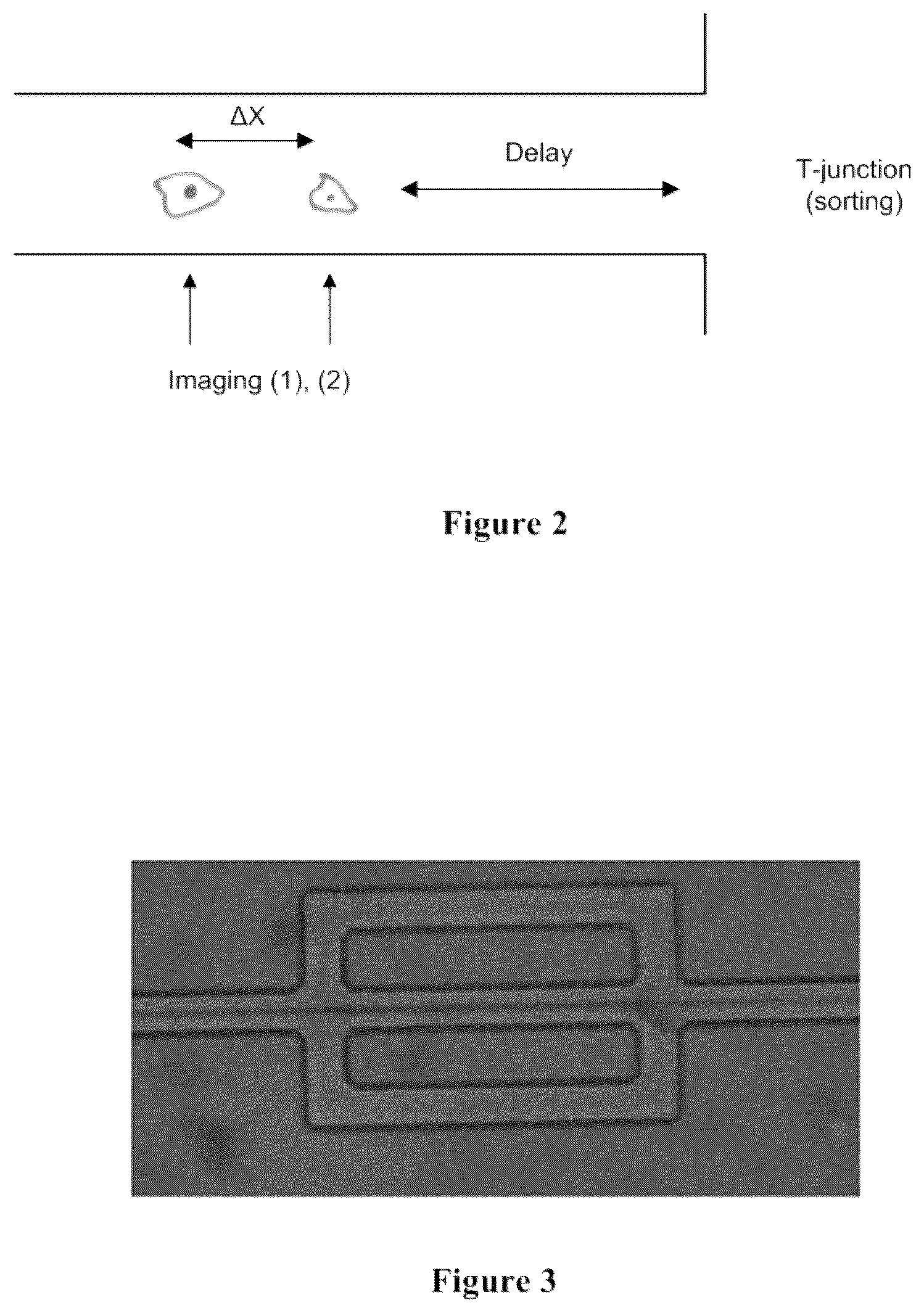 Patent US11815507 Figure 2 – Systems and methods for particle analysis