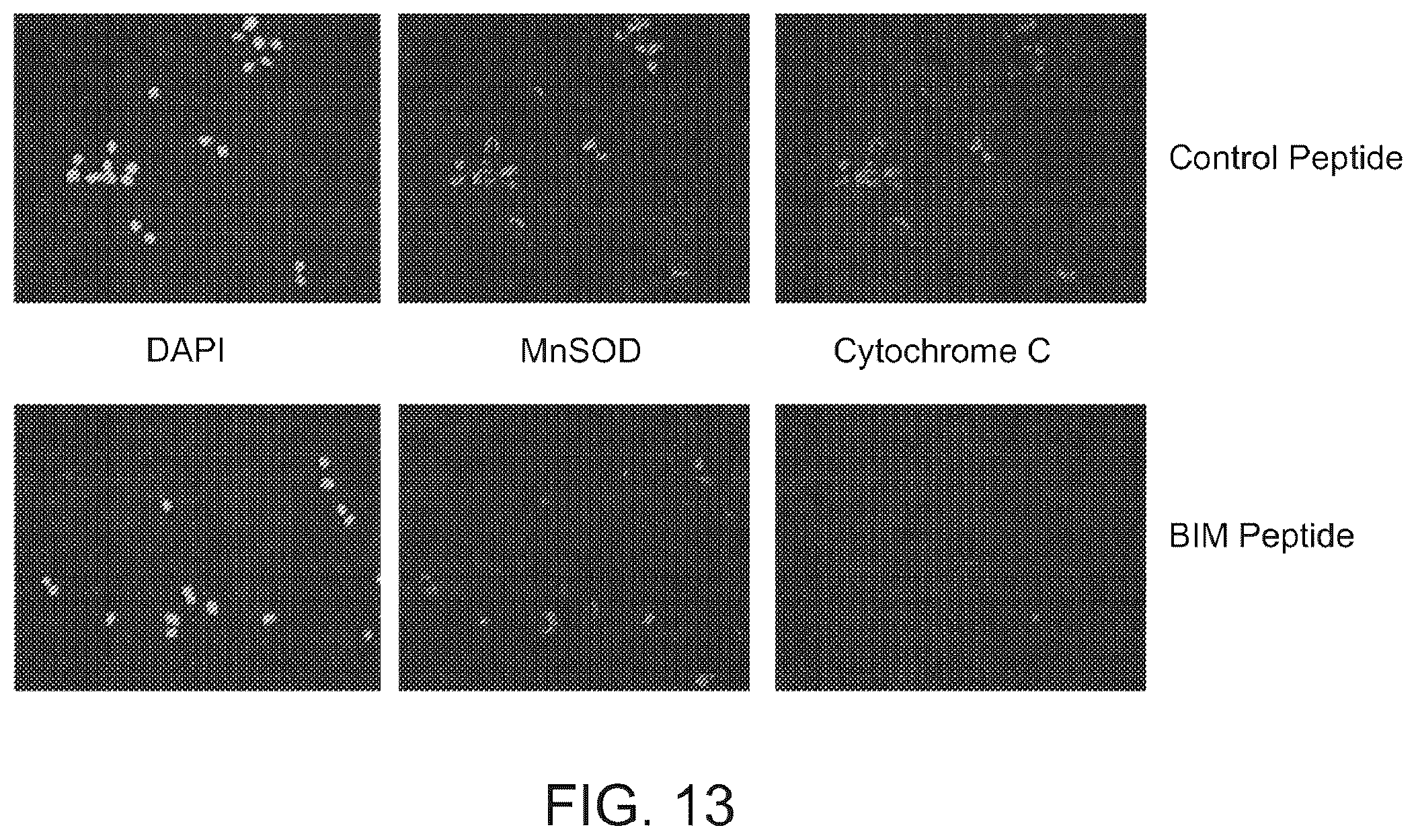 Patent US11815508 Figure 19 – Dynamic BH3 profiling