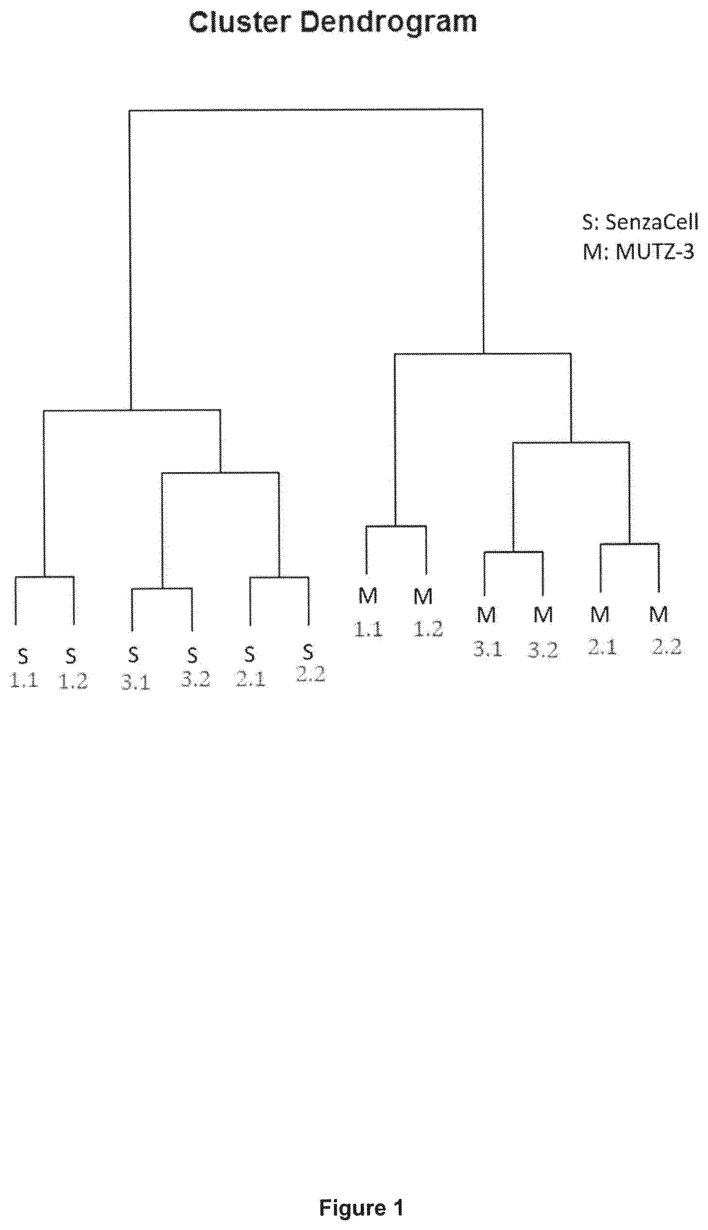 Patent US11815509 Figure 1 – Cell line and uses thereof