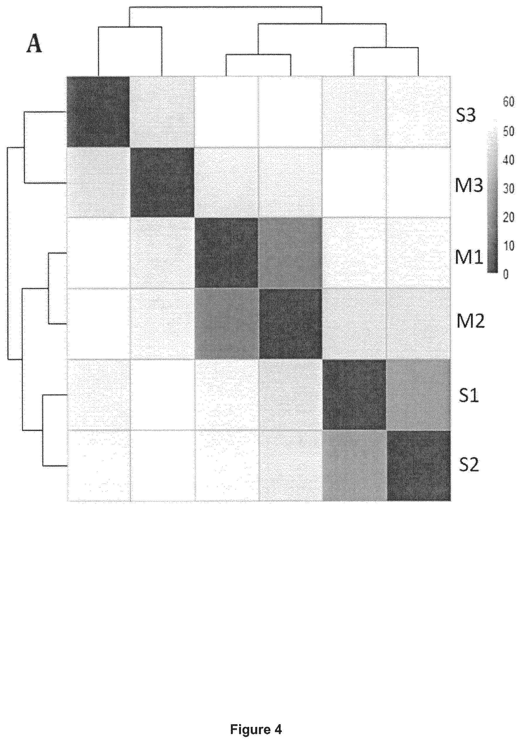 Patent US11815509 Figure 4 – Cell line and uses thereof