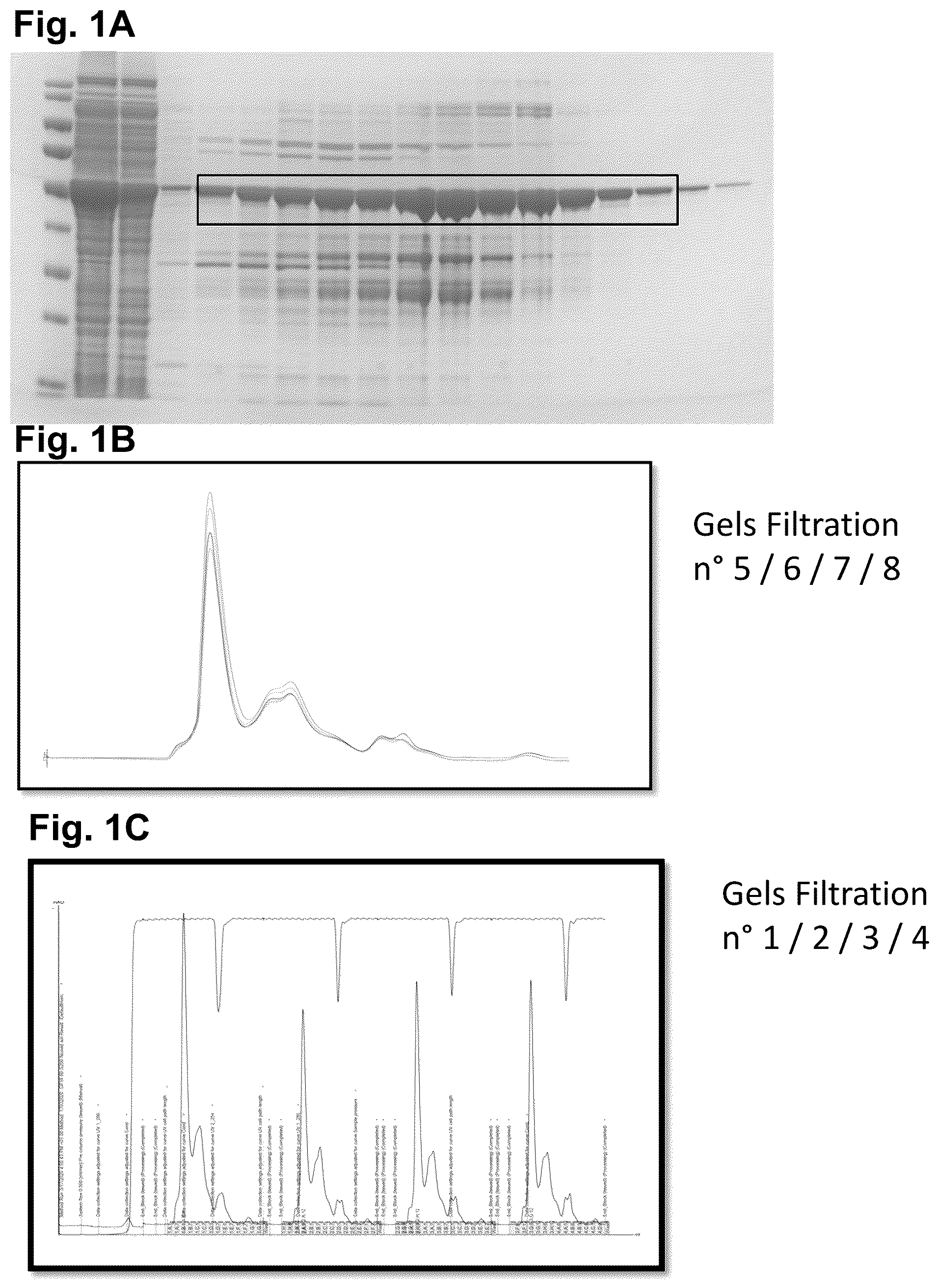 Patent US11815513 Figure 1 – Severe acute respiratory syndrome (SARS)-associated coronavirus diagnostics