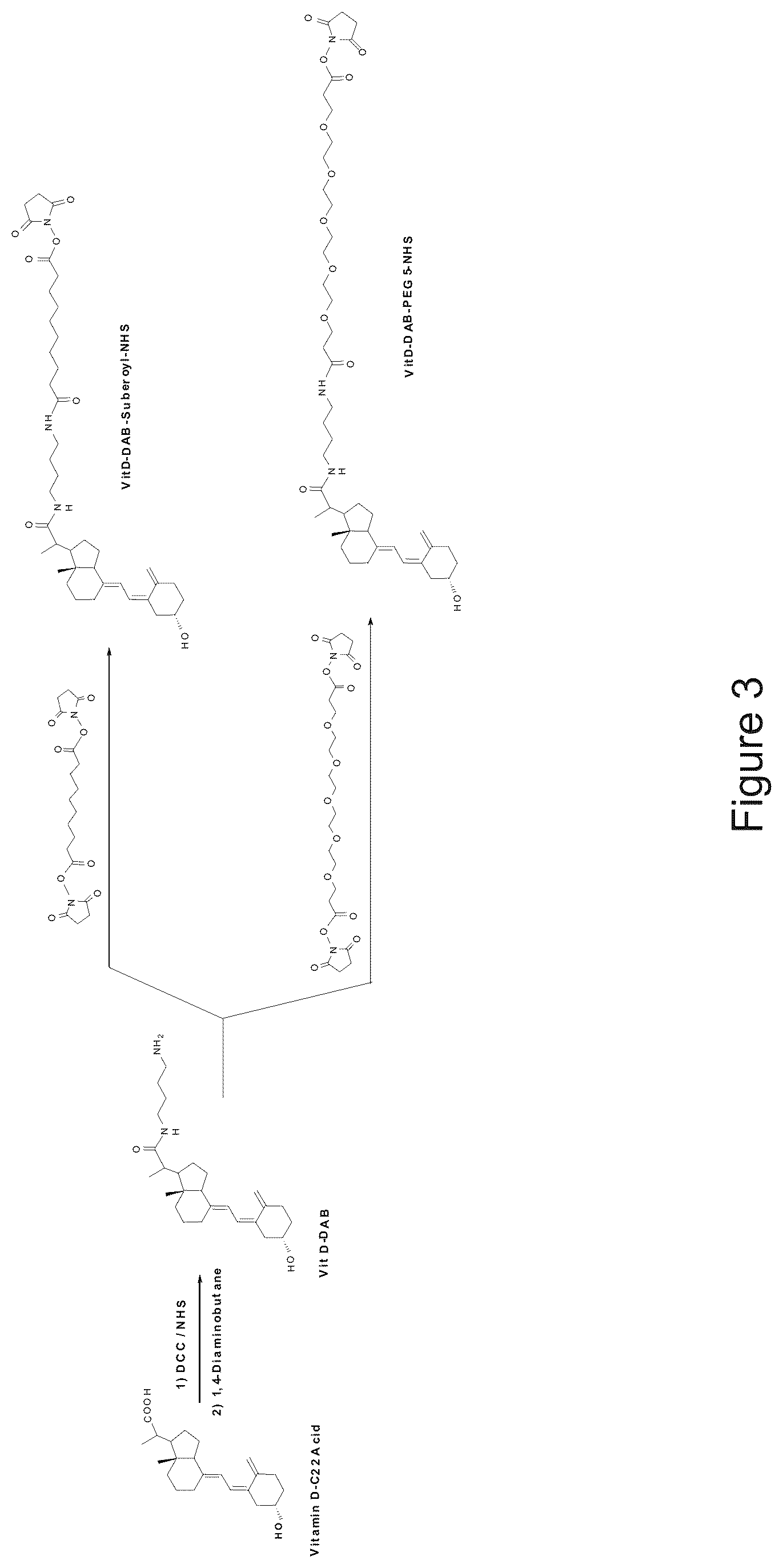Patent US11815517 Figure 3 – Antibodies to 25-hydroxyvitamin D2 and D3
