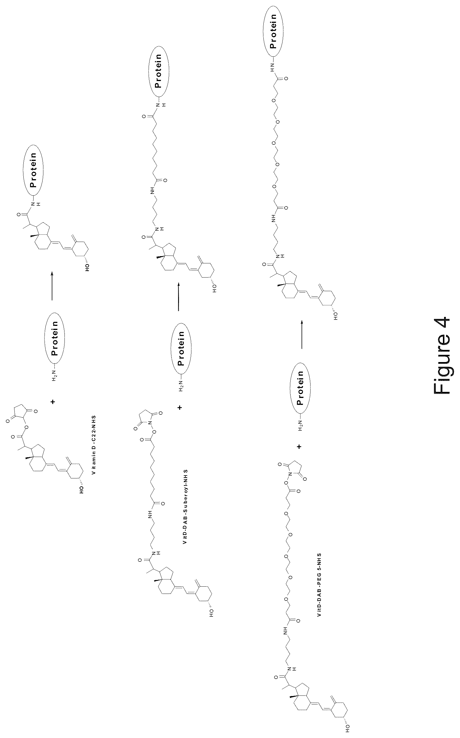 Patent US11815517 Figure 4 – Antibodies to 25-hydroxyvitamin D2 and D3