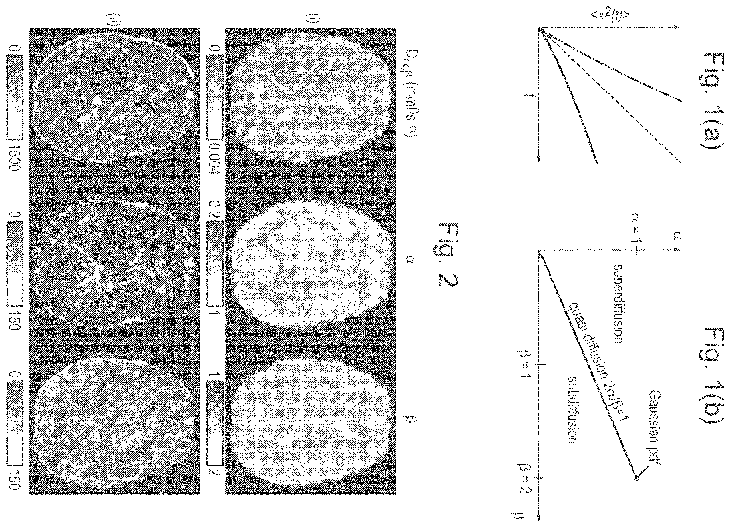 Patent US11815584 Figure 1 – Method and apparatus for quasi-diffusion magnetic resonance imaging