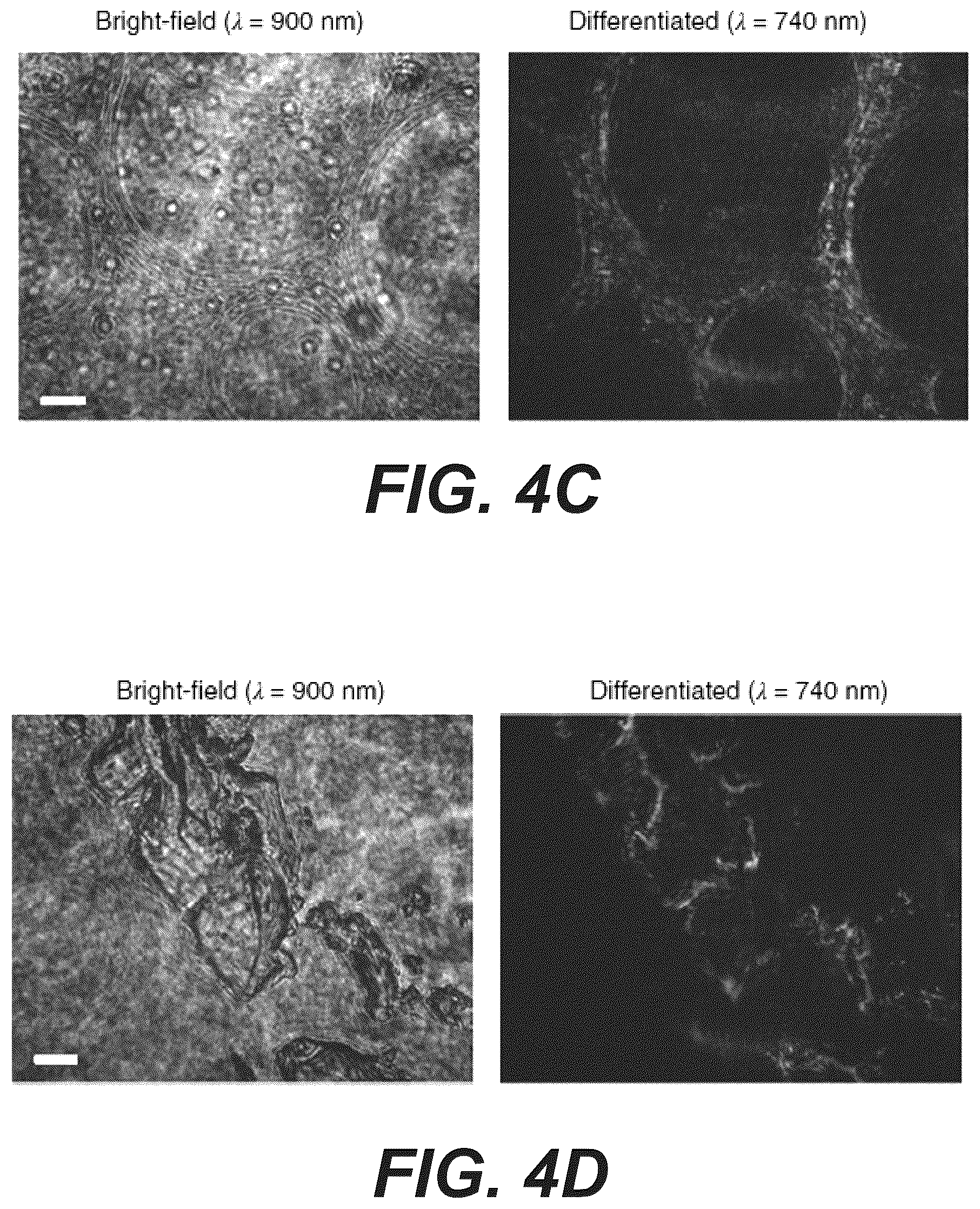 Patent US11815671 Figure 16 – Flat optics for image differentiation