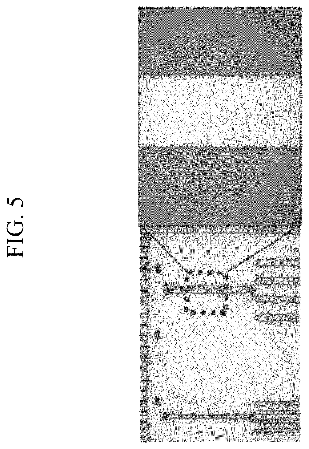 Patent US11815800 Figure 5 – Photosensitive compositions, quantum dot polymer composite pattern prepared therefrom, and electronic devices including the same