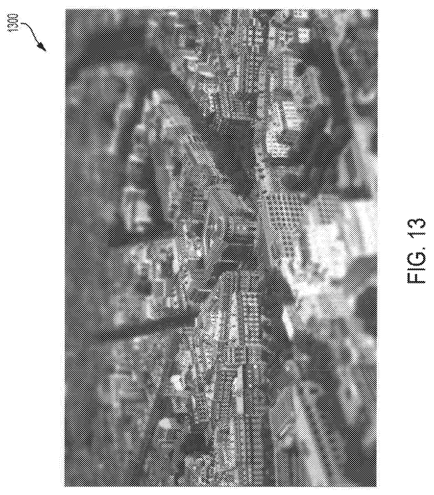 Patent US11815951 Figure 13 – System and method for enhanced training using a virtual reality environment and bio-signal data