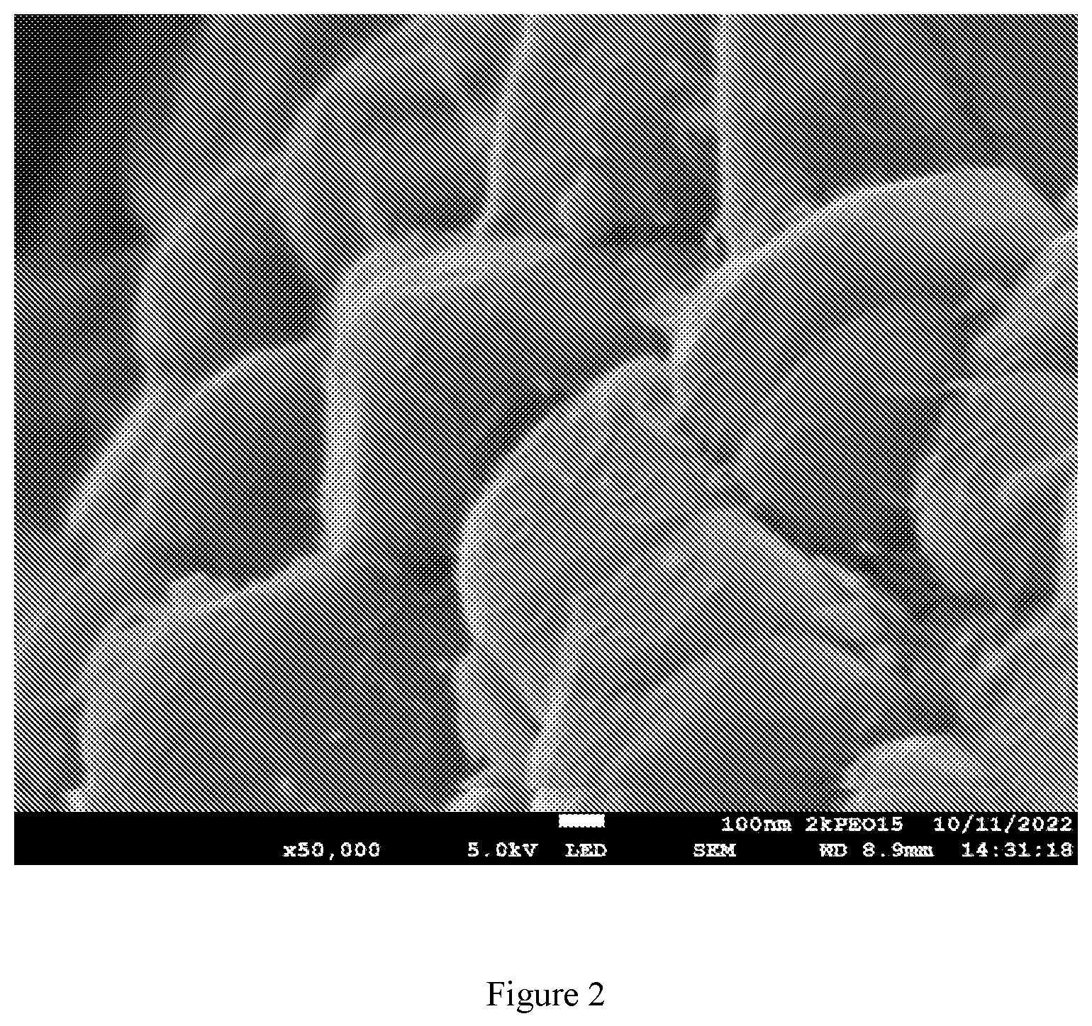 Patent US11824201 Figure 2 – Dispersible discrete carbon nanotubes in dry fabrication processes for energy storage and collection devices