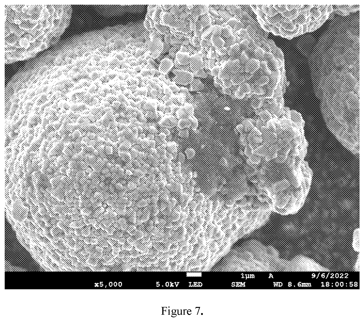 Patent US11824201 Figure 7 – Dispersible discrete carbon nanotubes in dry fabrication processes for energy storage and collection devices