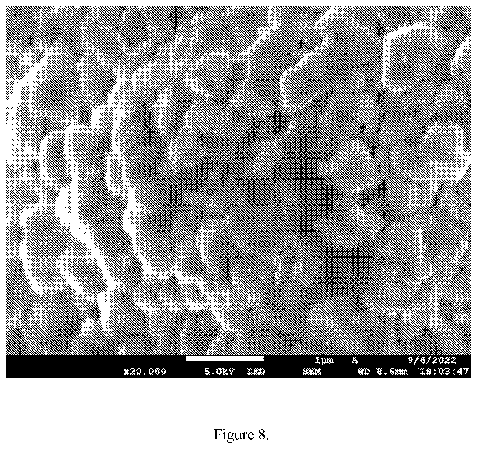 Patent US11824201 Figure 8 – Dispersible discrete carbon nanotubes in dry fabrication processes for energy storage and collection devices