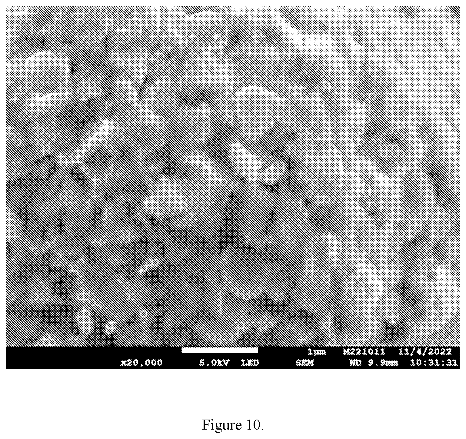 Patent US11824201 Figure 10 – Dispersible discrete carbon nanotubes in dry fabrication processes for energy storage and collection devices