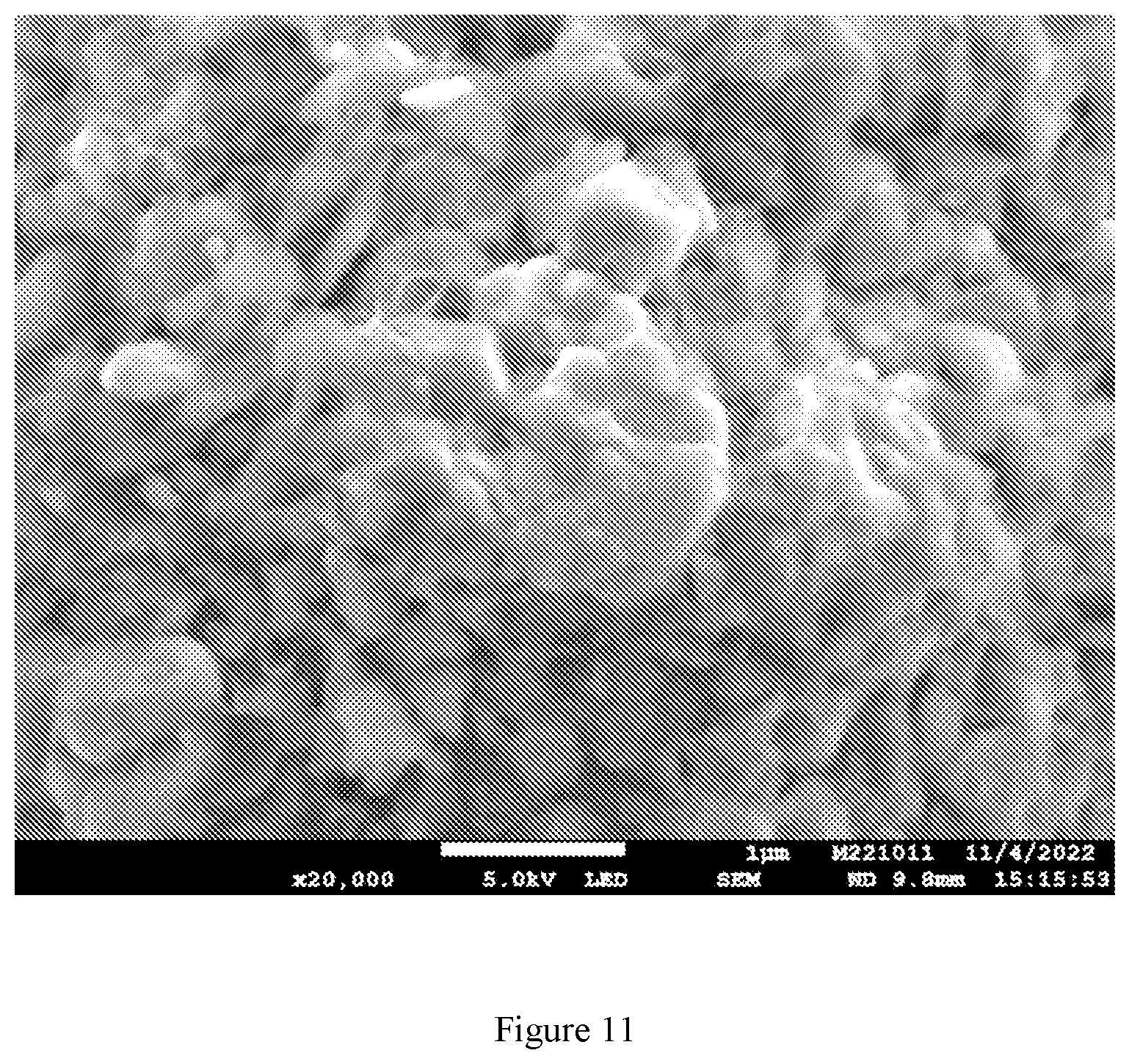 Patent US11824201 Figure 11 – Dispersible discrete carbon nanotubes in dry fabrication processes for energy storage and collection devices