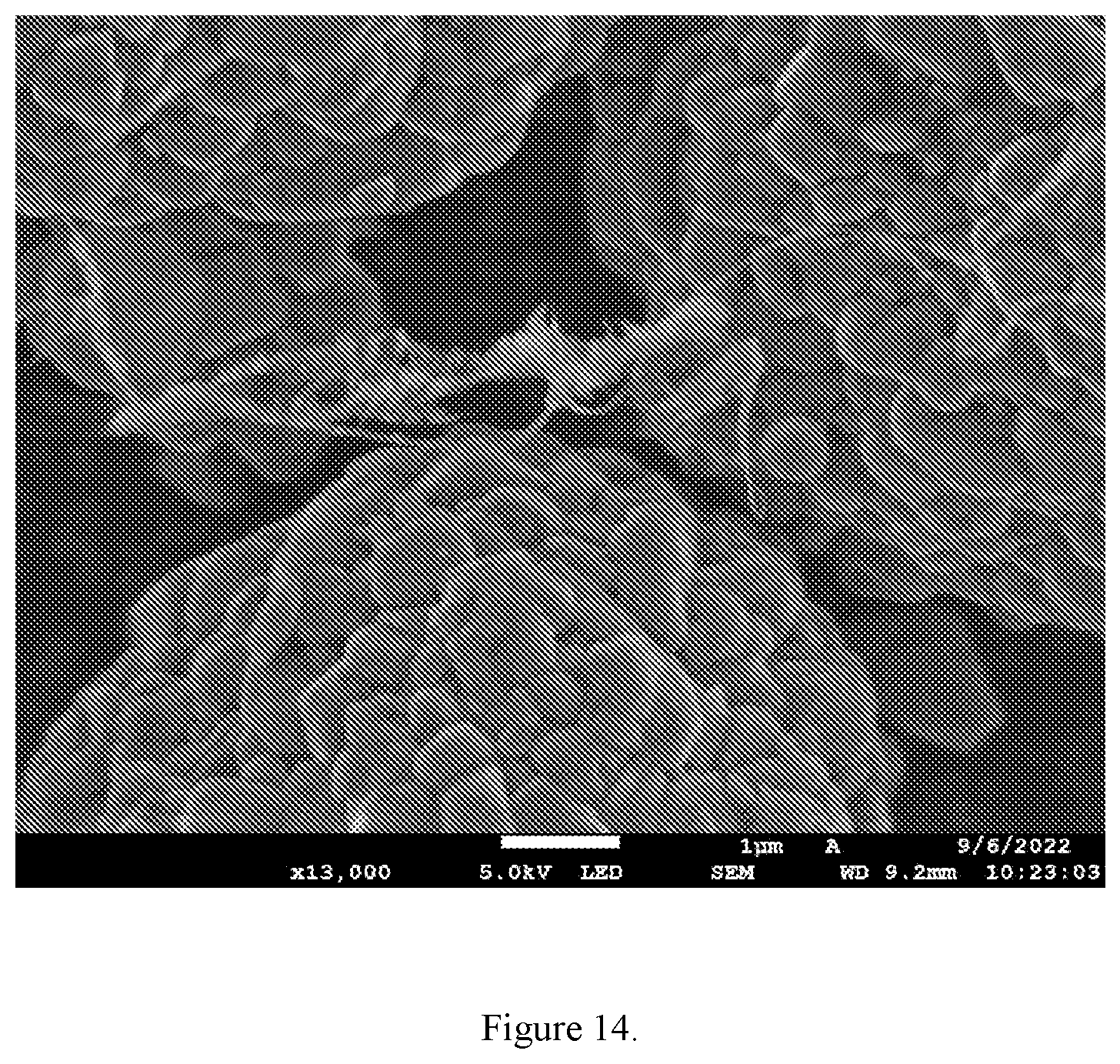 Patent US11824201 Figure 14 – Dispersible discrete carbon nanotubes in dry fabrication processes for energy storage and collection devices