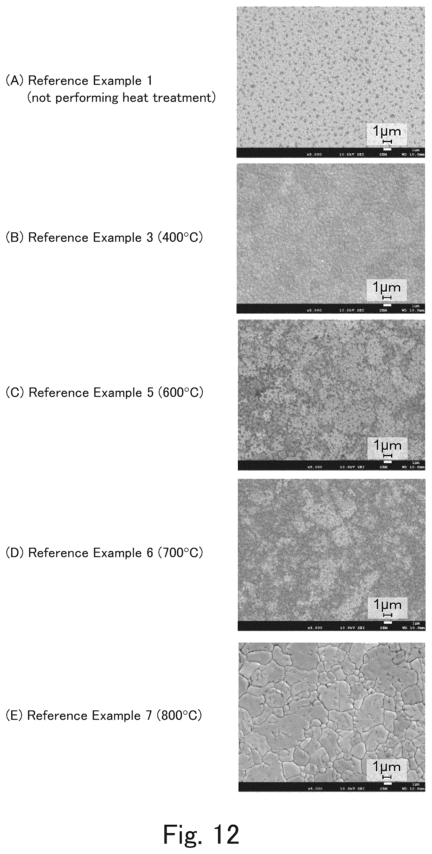 Patent US11824212 Figure 12 – Surface-treated steel plate for cell container