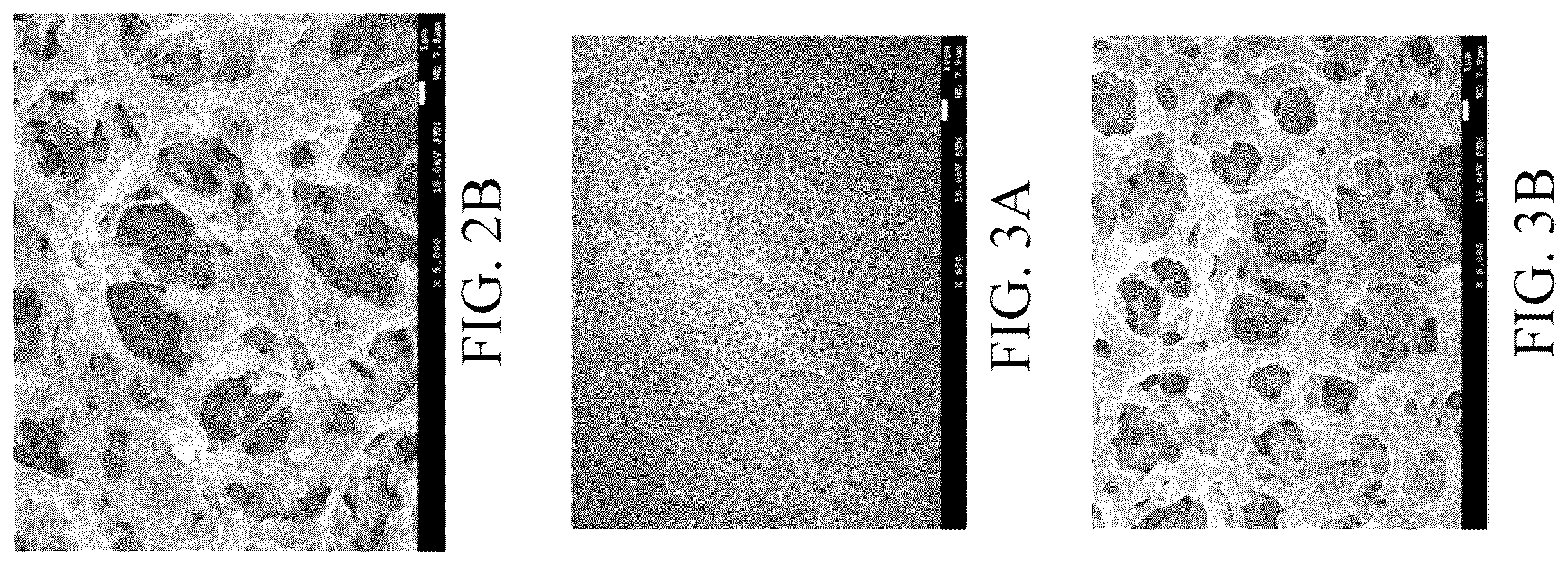 Patent US11824225 Figure 2 – Separator including substrate, hydrophilic blocking layer, and polar polymer bonding with nodal structure, and method of preparing the same