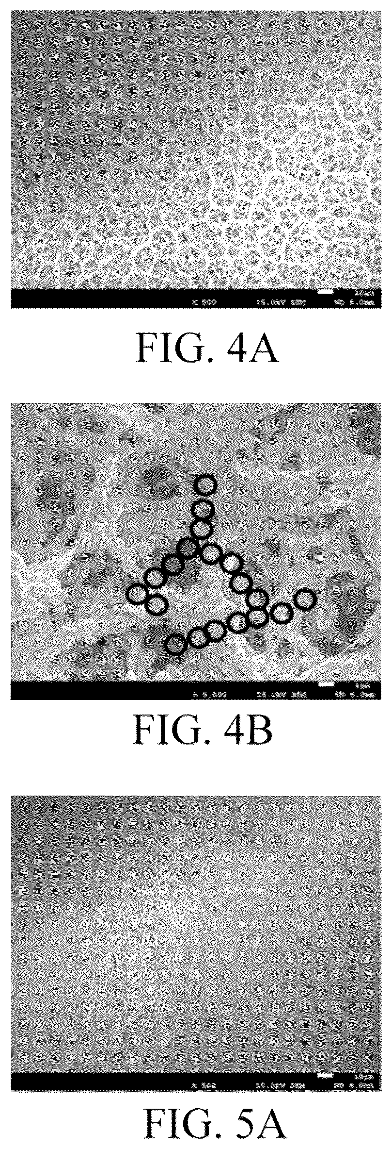 Patent US11824225 Figure 3 – Separator including substrate, hydrophilic blocking layer, and polar polymer bonding with nodal structure, and method of preparing the same