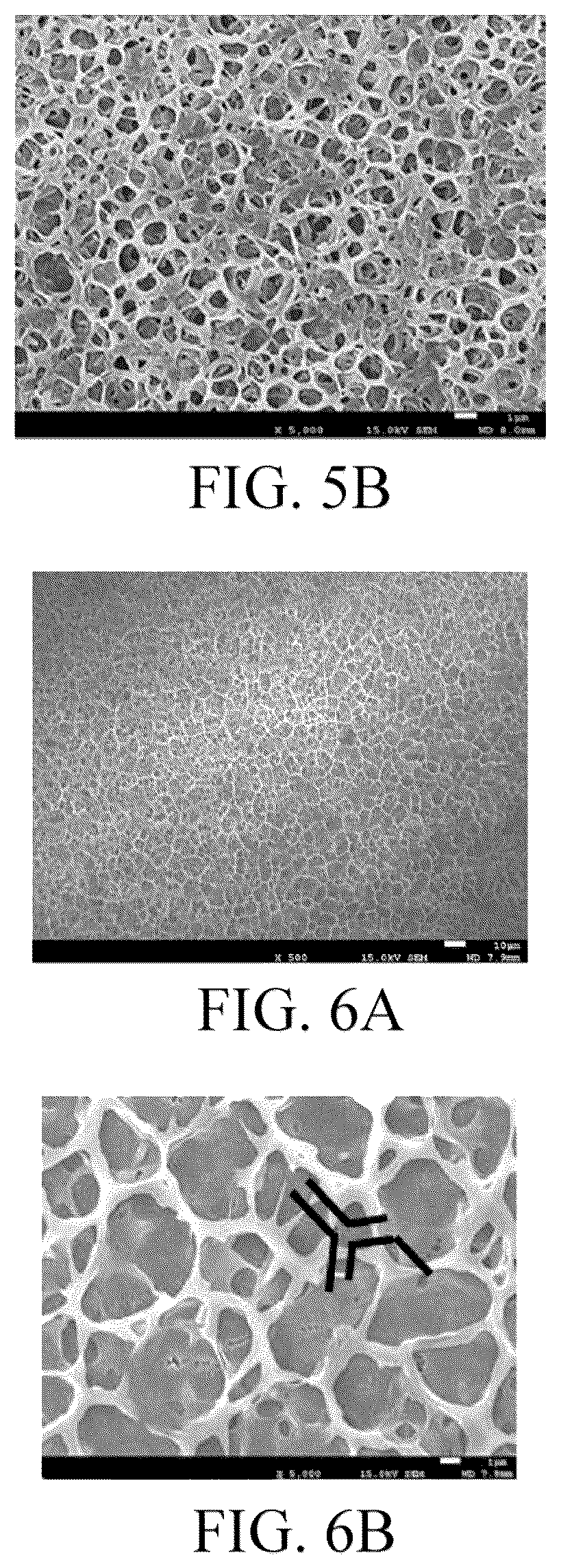 Patent US11824225 Figure 4 – Separator including substrate, hydrophilic blocking layer, and polar polymer bonding with nodal structure, and method of preparing the same