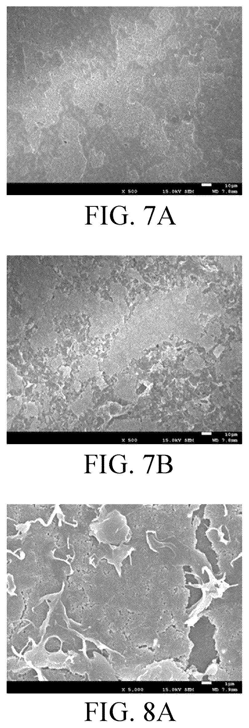 Patent US11824225 Figure 5 – Separator including substrate, hydrophilic blocking layer, and polar polymer bonding with nodal structure, and method of preparing the same