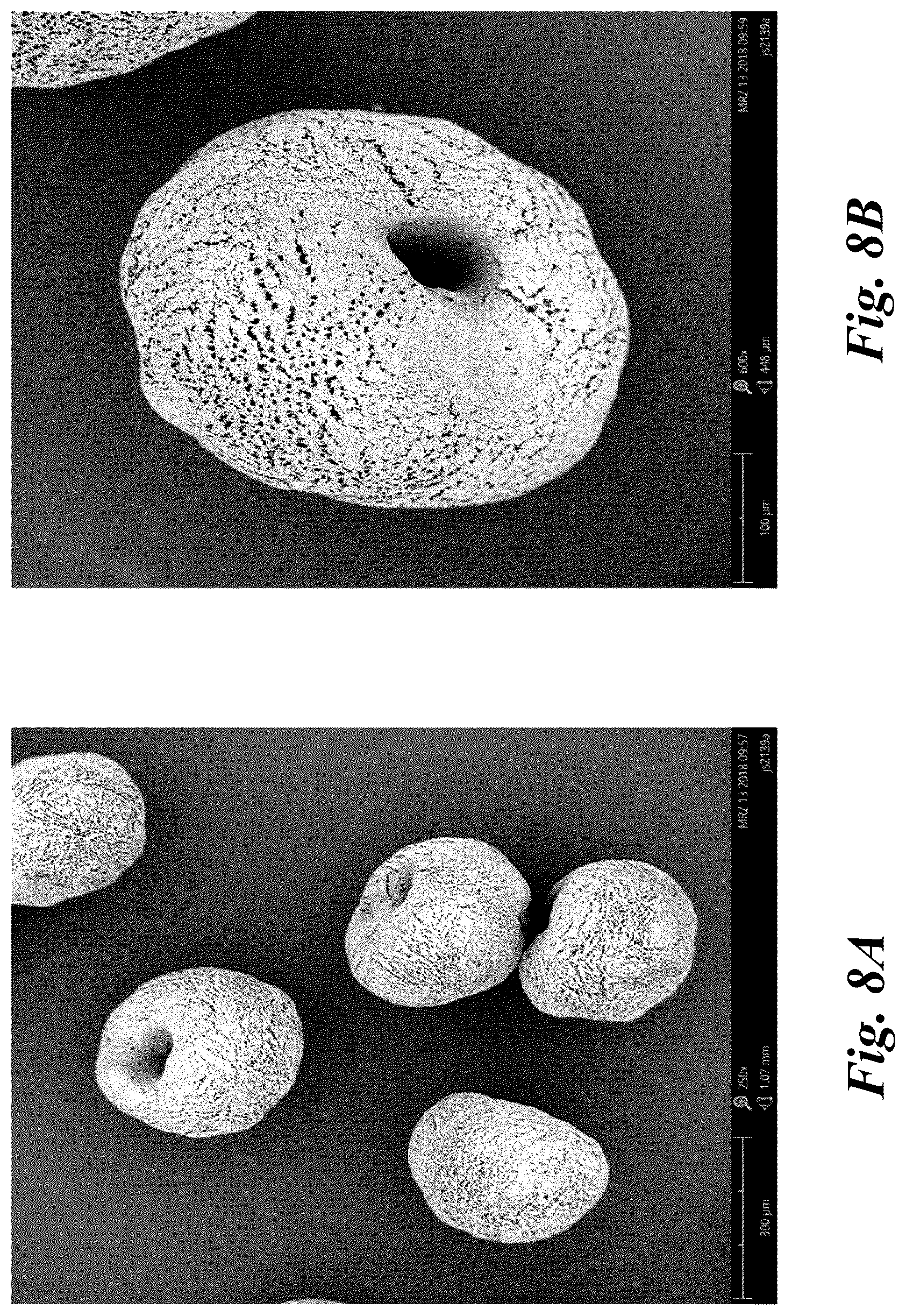 Patent US11832050 Figure 10 – Zeolitic material for improving loudspeaker performance